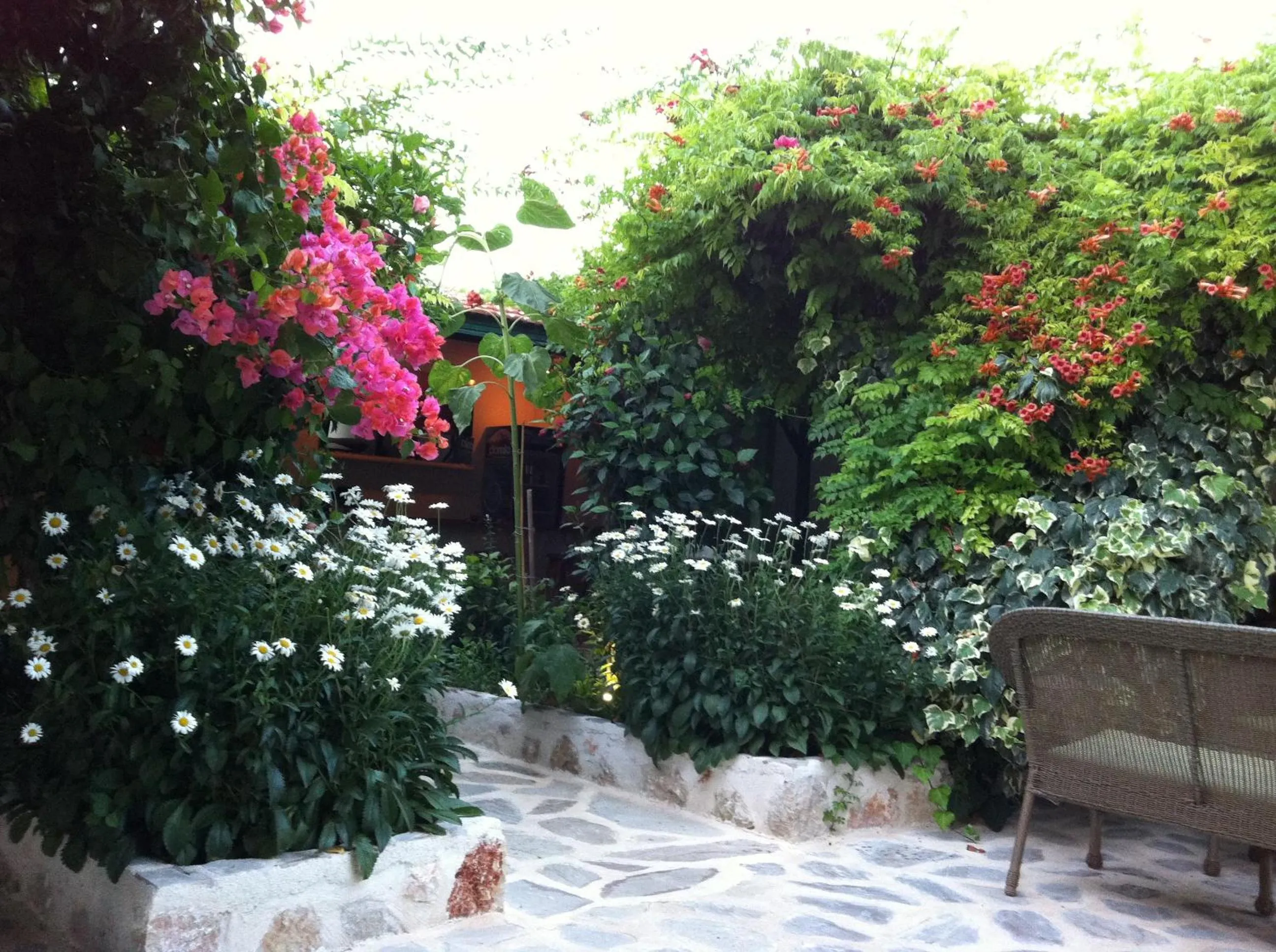 Garden in Dardanos Hotel