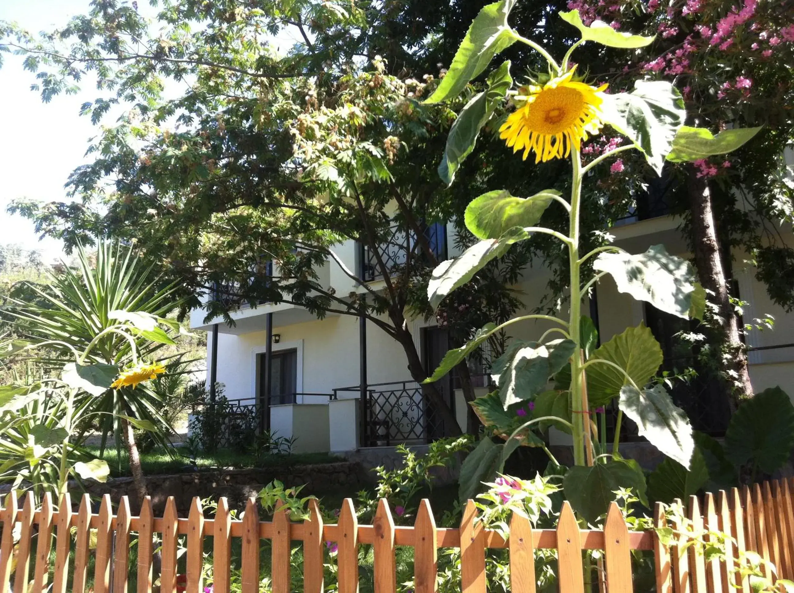 Facade/entrance in Dardanos Hotel Facade/entrance in Dardanos Hotel