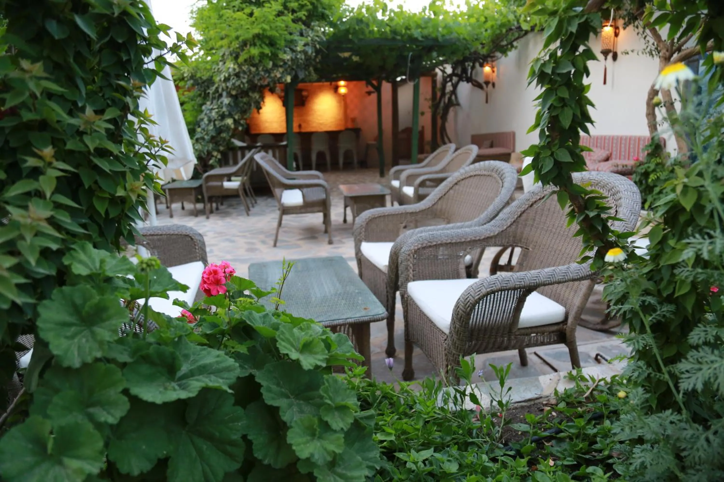 Garden in Dardanos Hotel