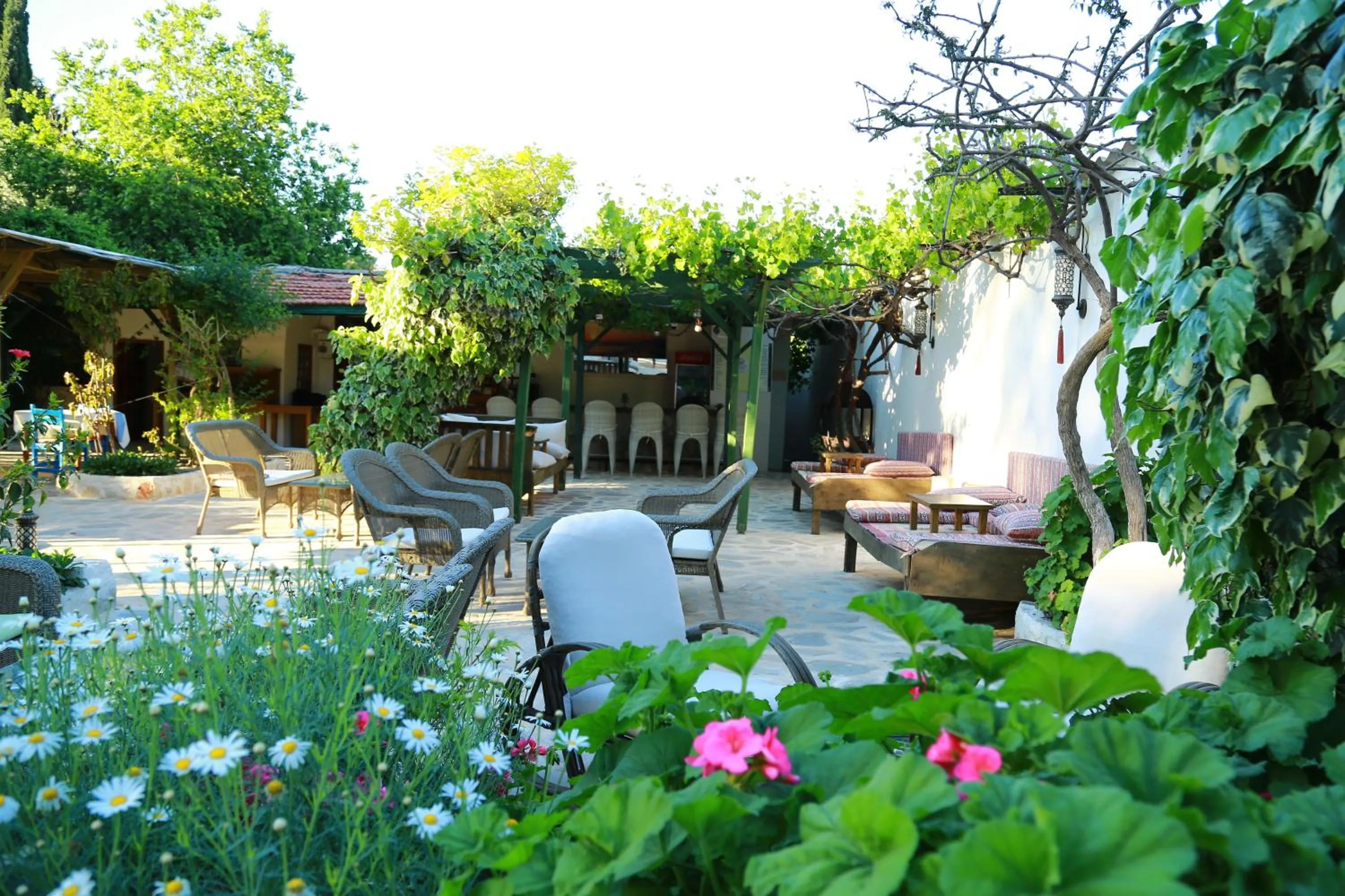 Restaurant/places to eat in Dardanos Hotel