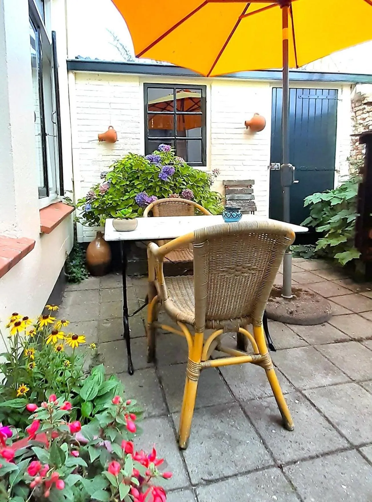 Patio in B&B Vierwinden