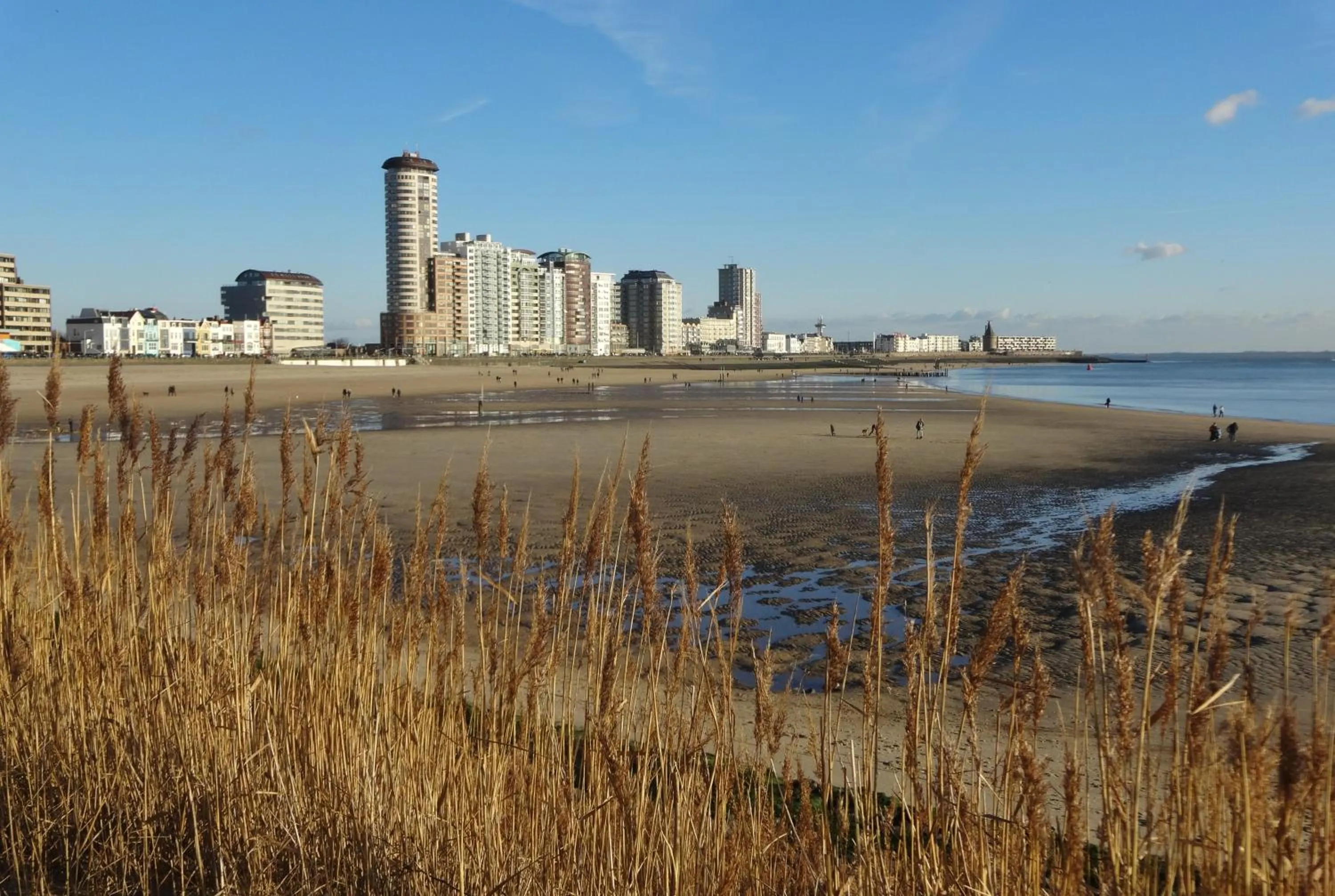Beach in B&B Vierwinden