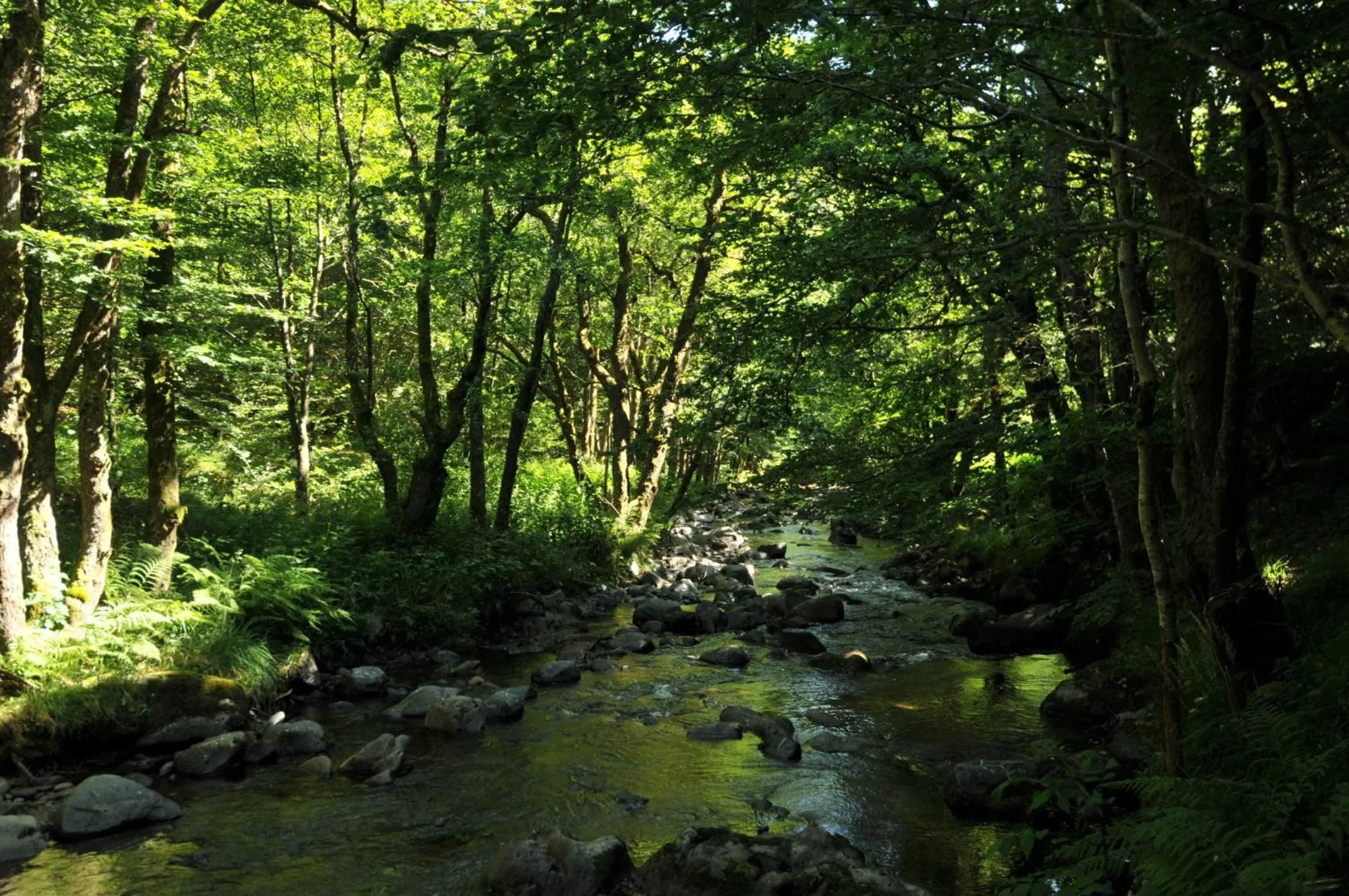 Nearby landmark in Auberge De La Providence