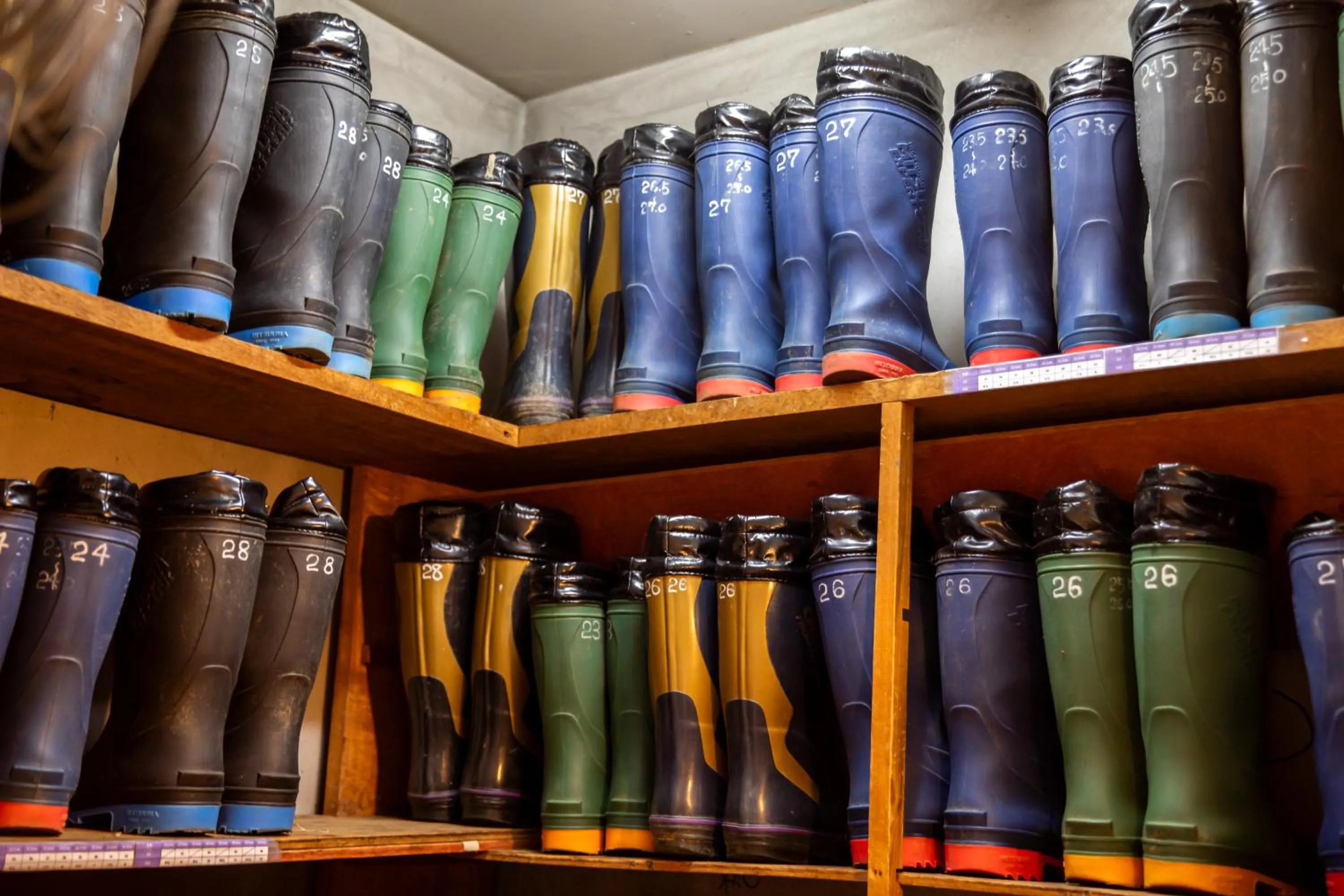 Area and facilities in Shimaya