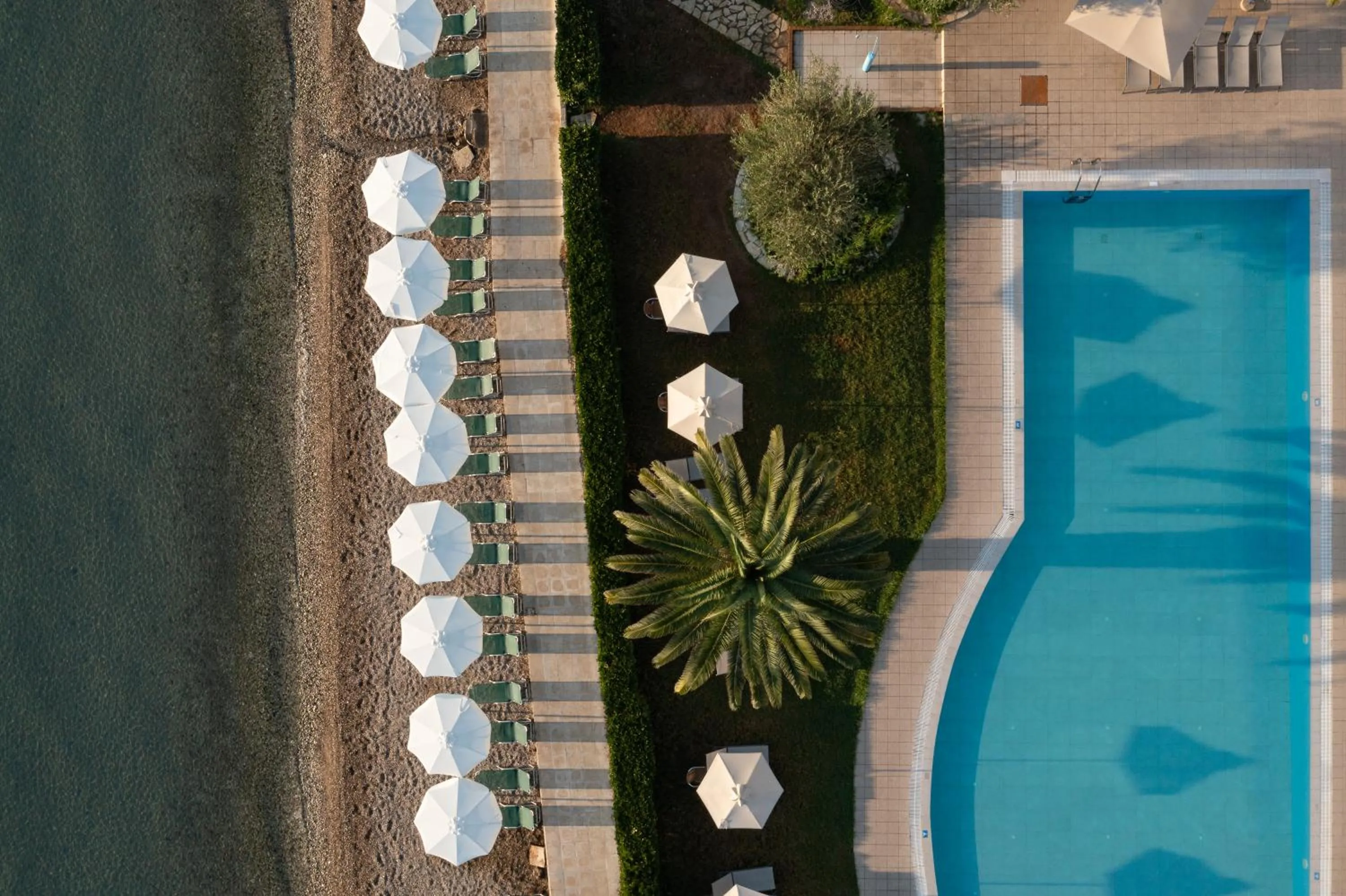 Swimming pool in Elea Beach Hotel