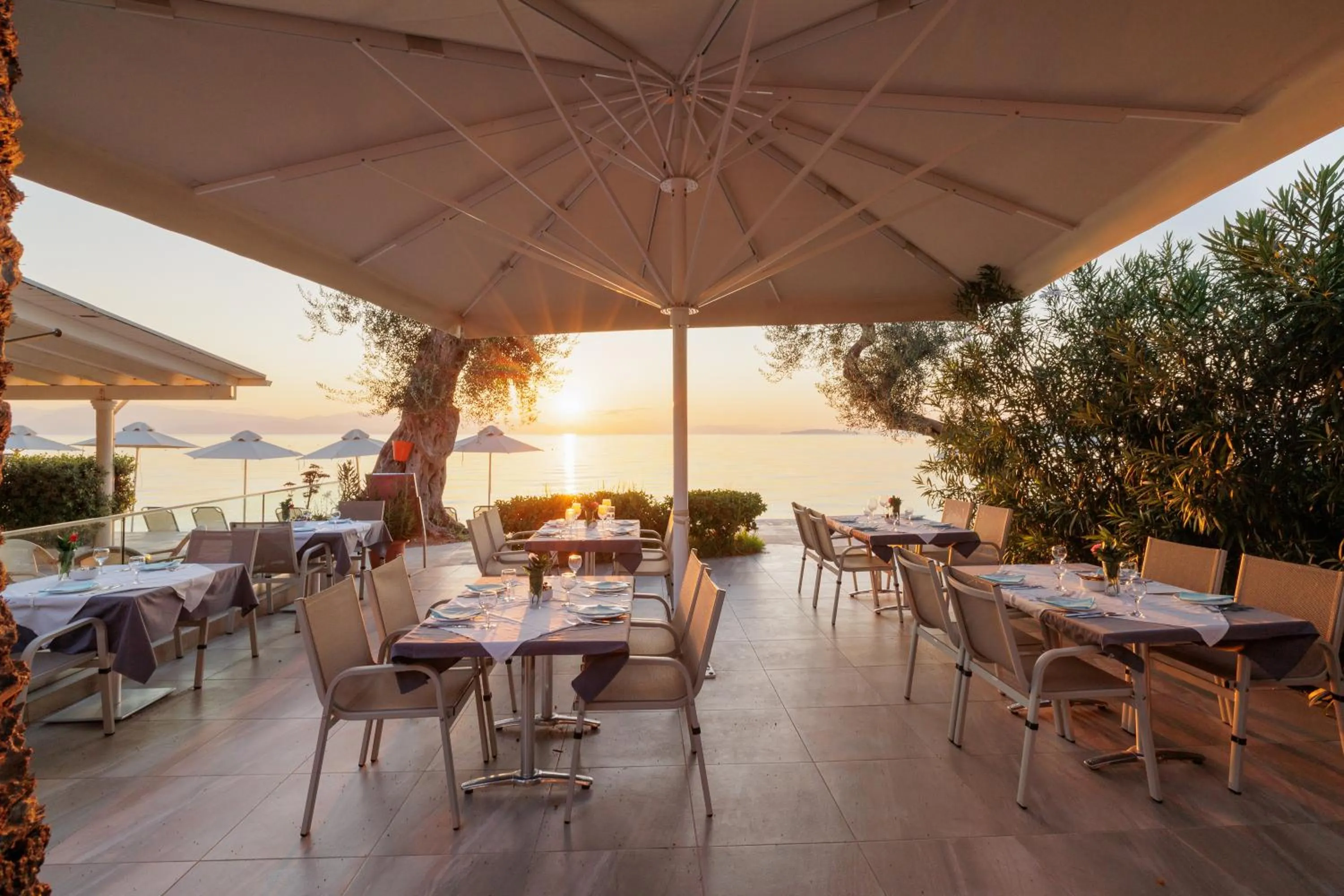 Restaurant/places to eat in Elea Beach Hotel