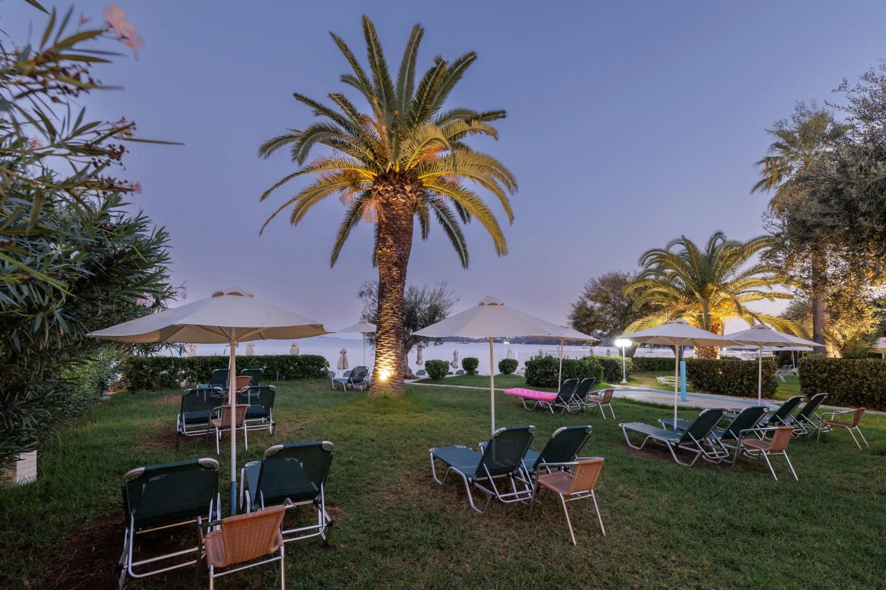 sunbed in Elea Beach Hotel