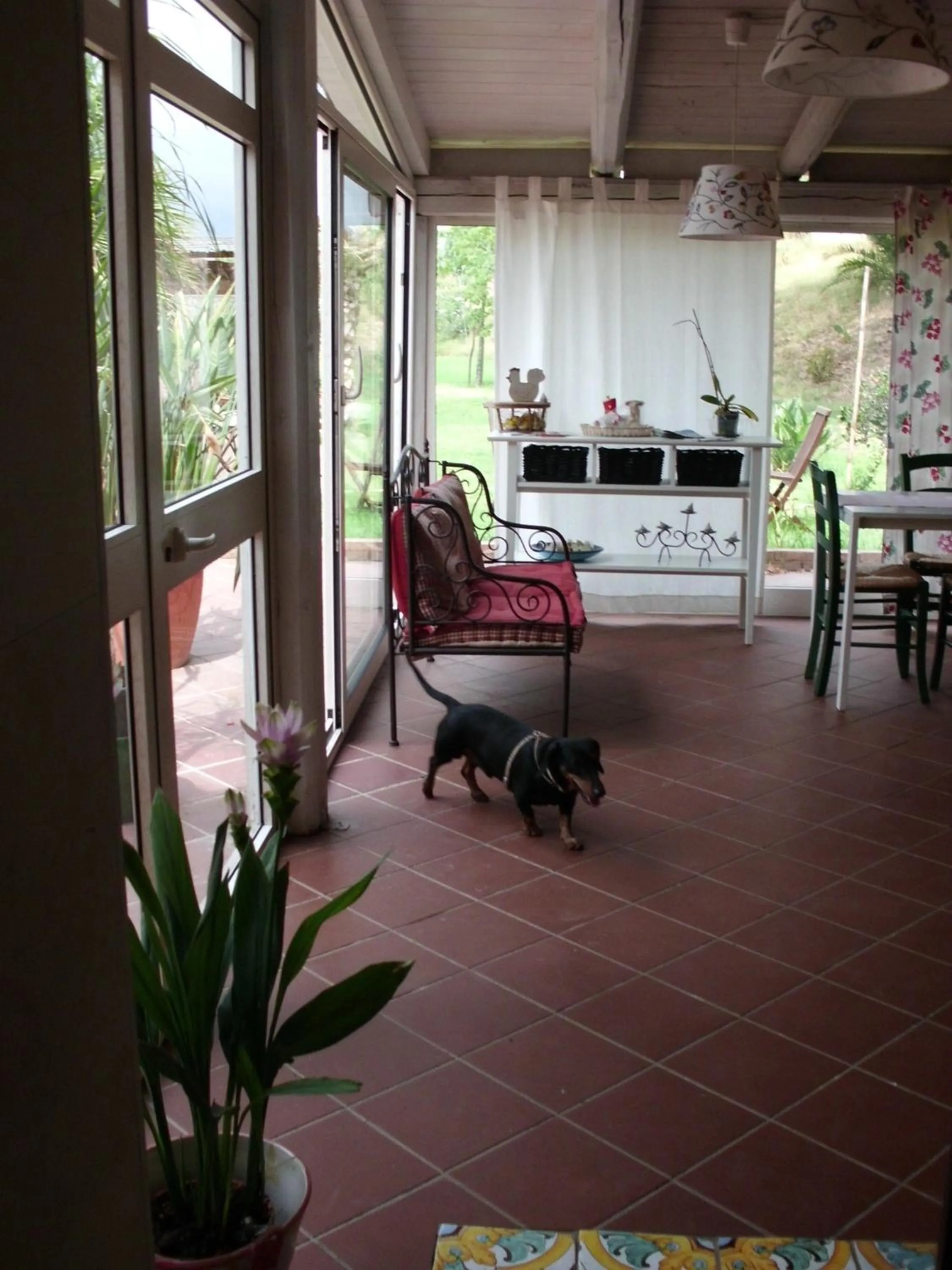 Pets in Villa Cristina