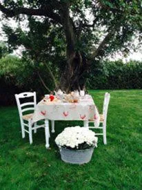 Garden in Masseria Cianciò