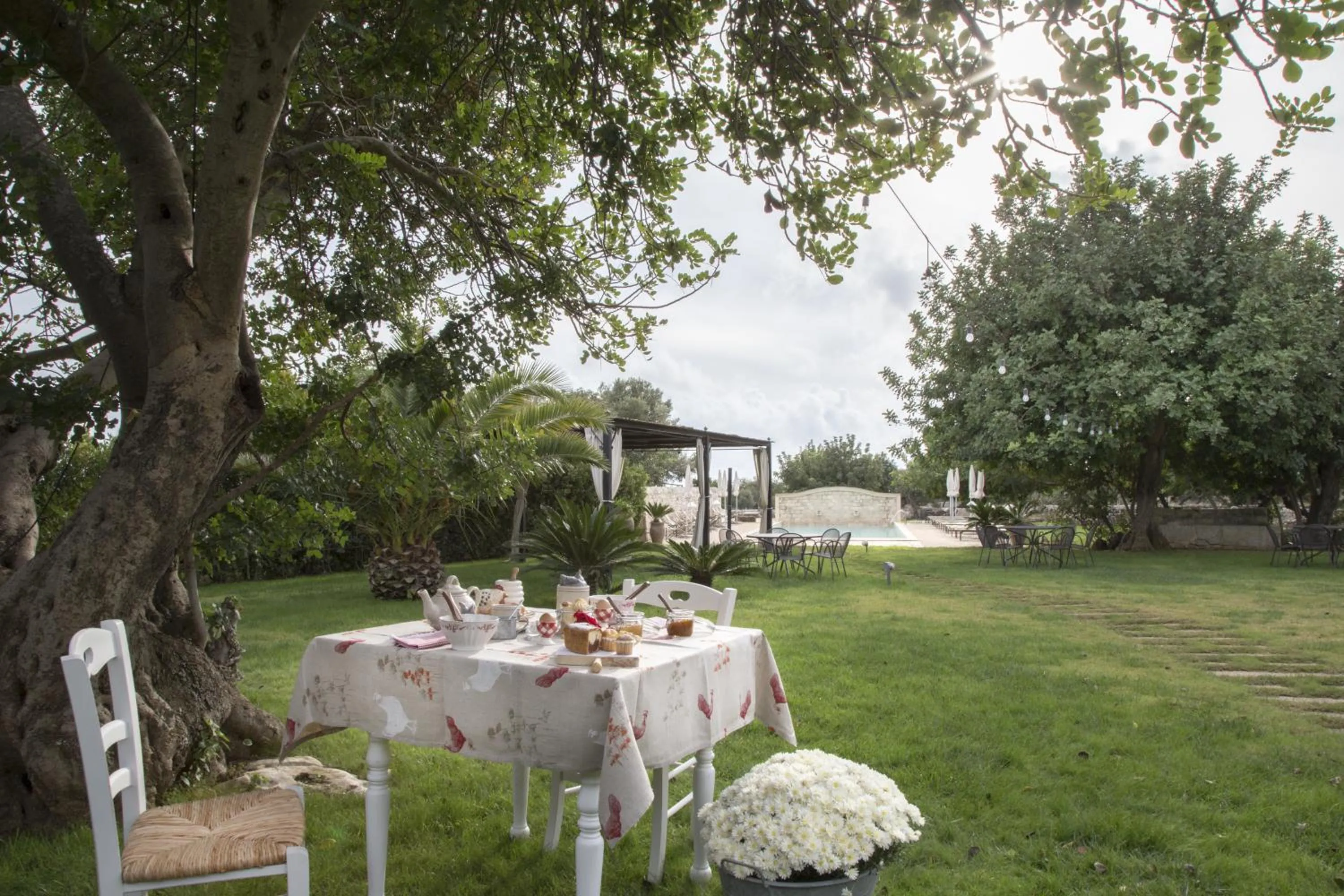 Pool view in Masseria Cianciò