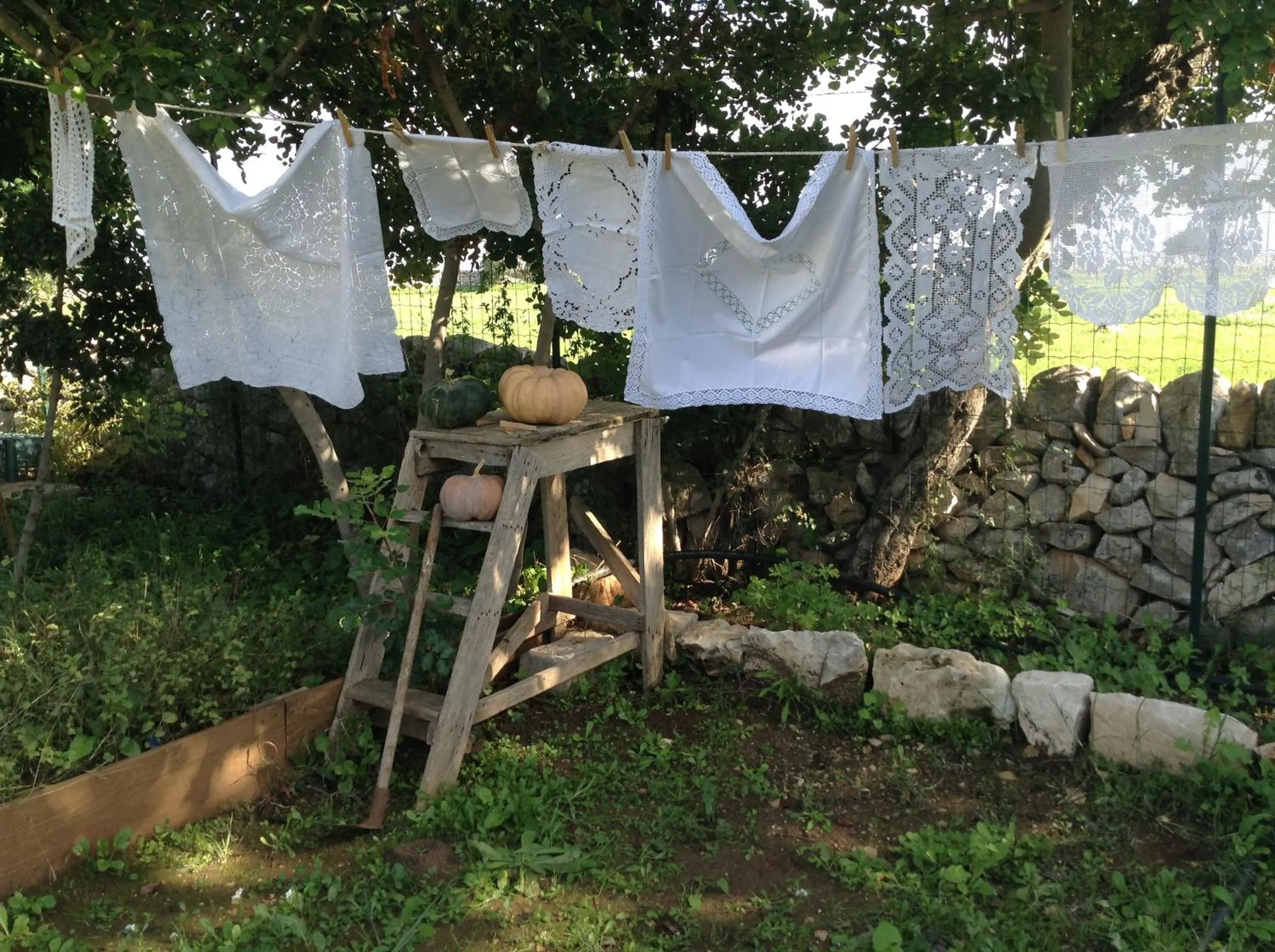 Garden in Masseria Cianciò