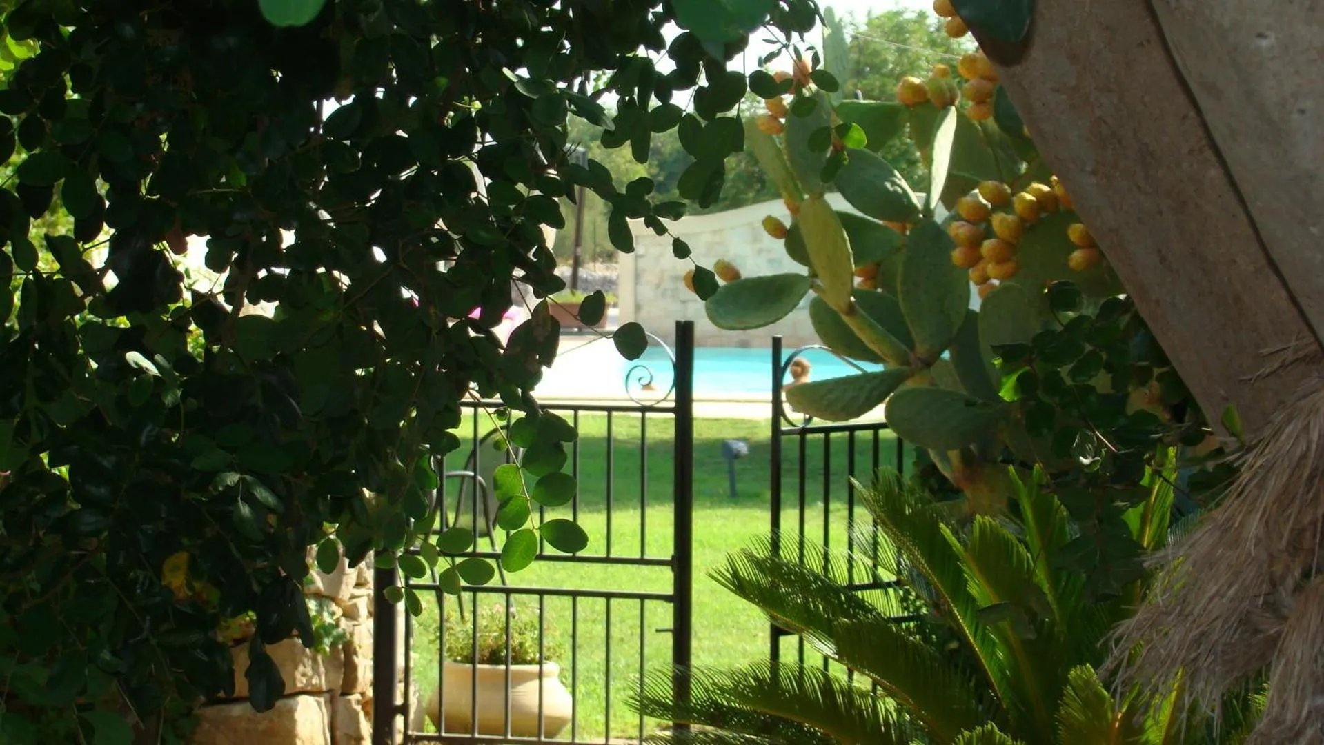 Swimming pool in Masseria Cianciò