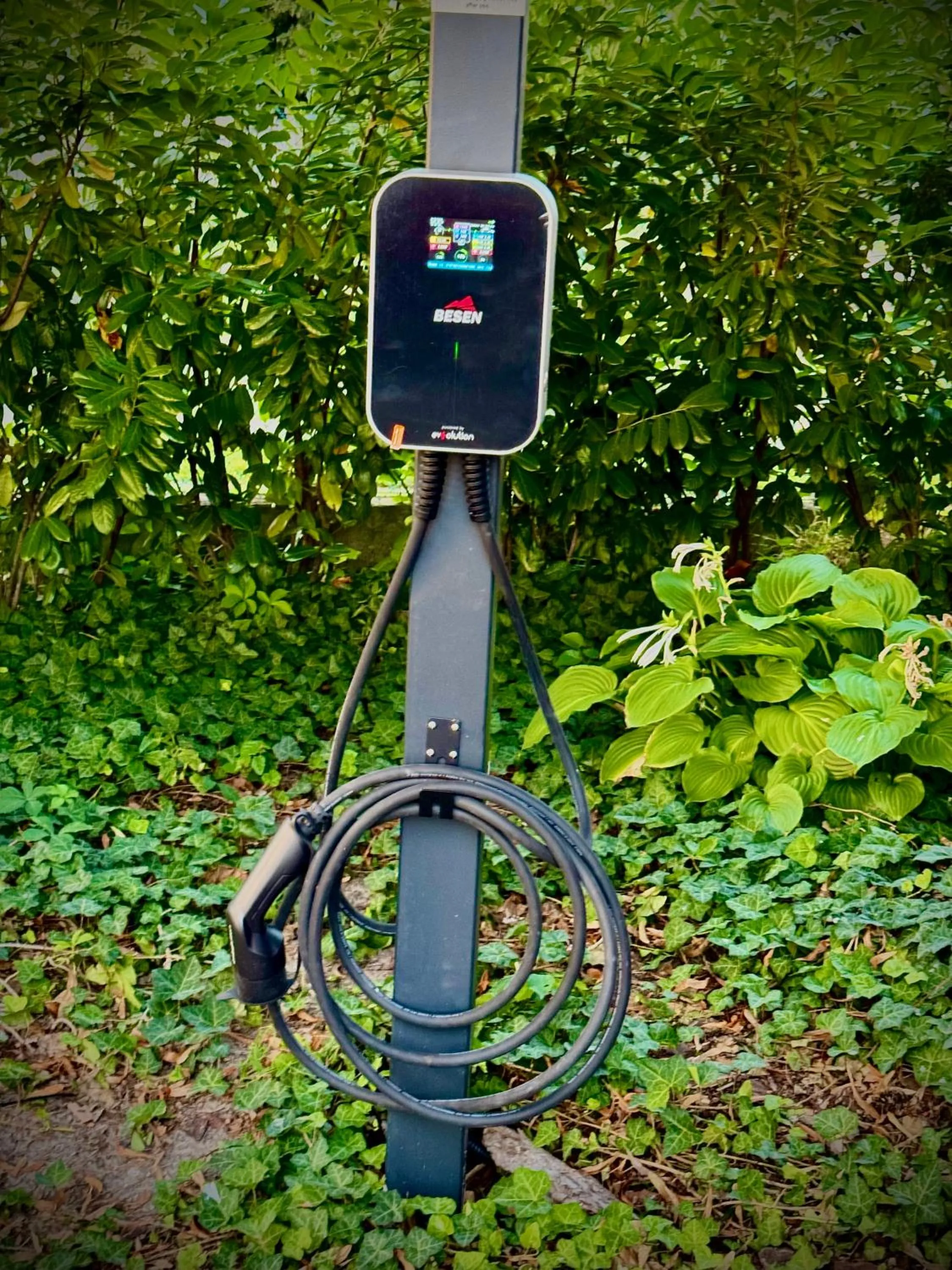 Fészek Fogadó - Pension Nest