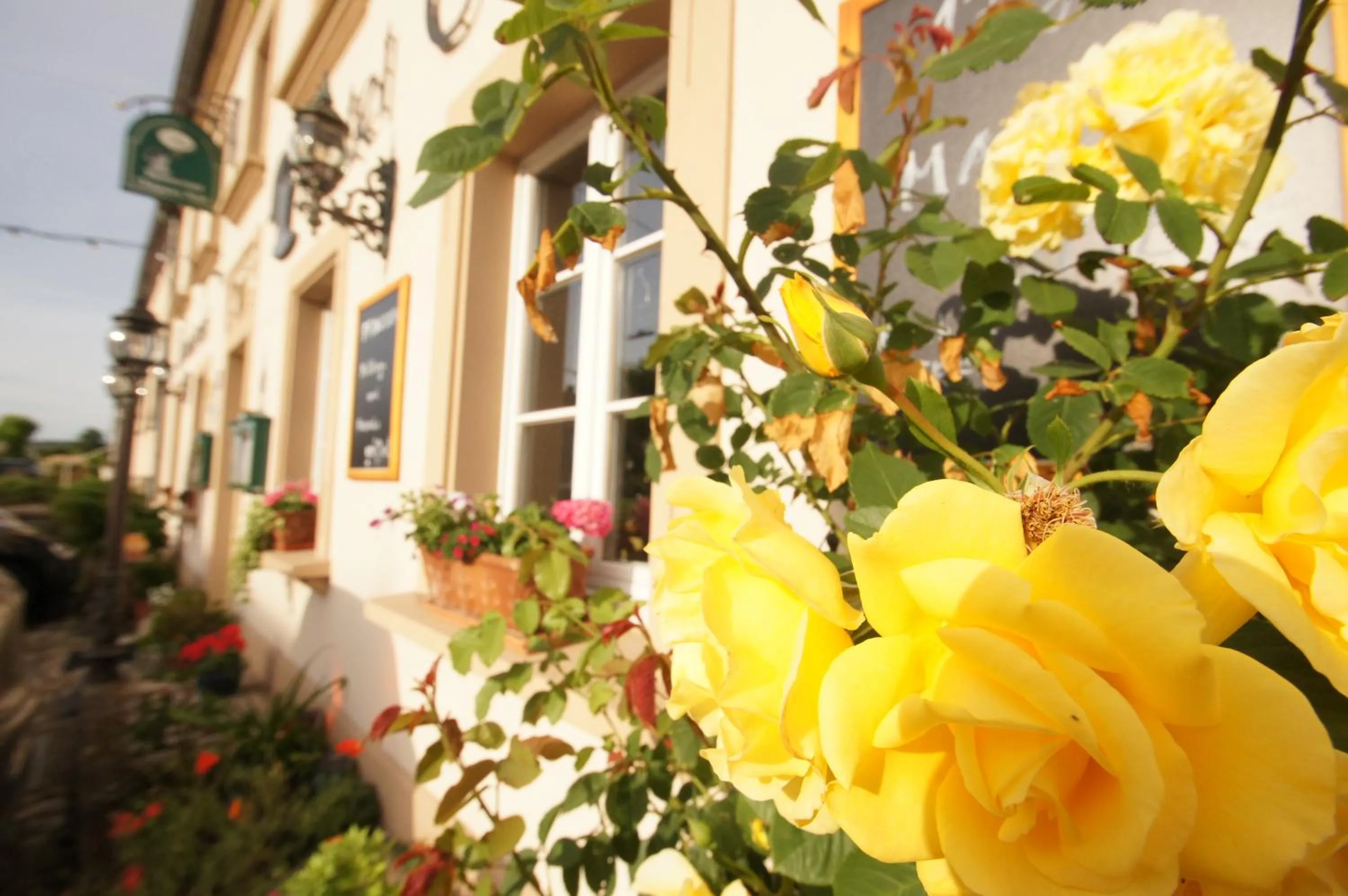 Facade/entrance in UNO Hotel Chapeau Noir - Free Parking
