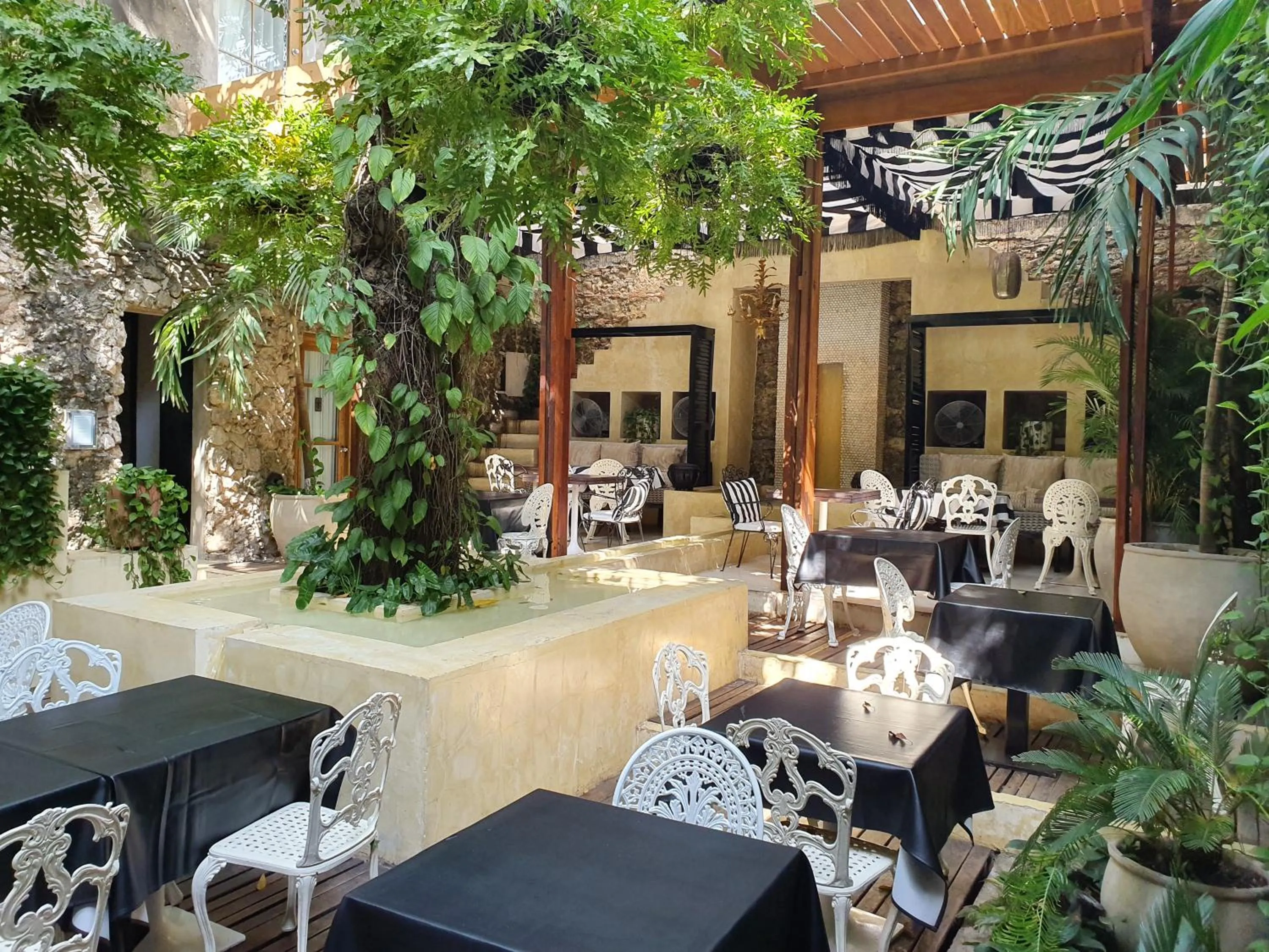 Inner courtyard view in Hotel Casa Lola Deluxe Gallery