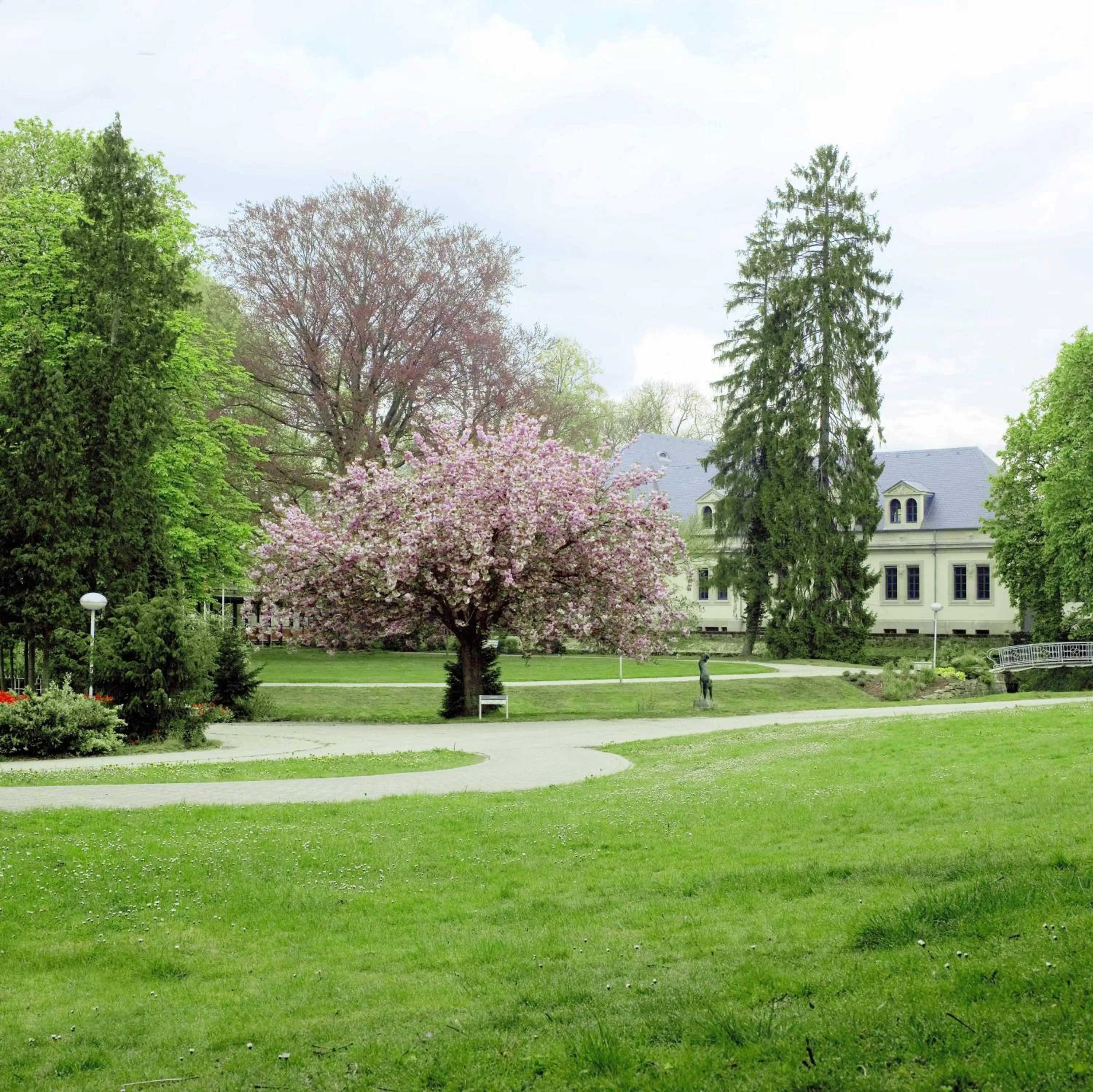 Garden in Villa Welcome