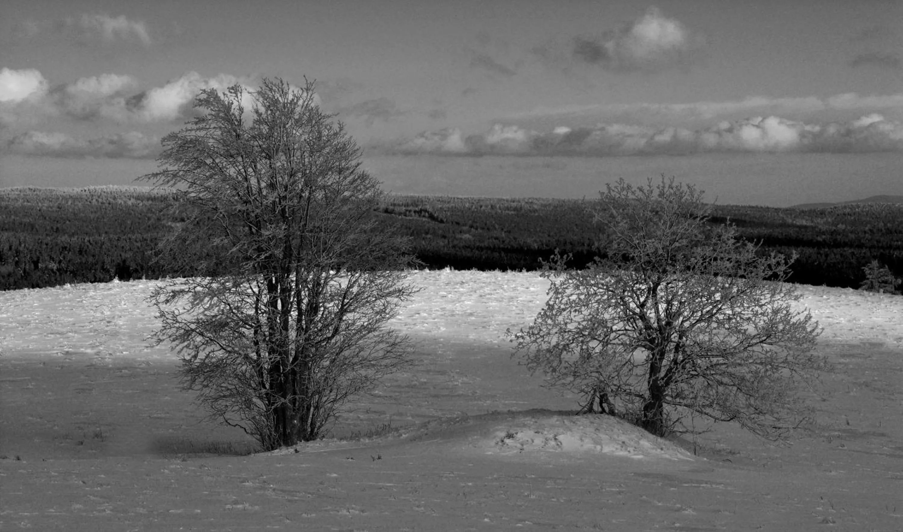 Natural landscape in Ośrodek Pegaz