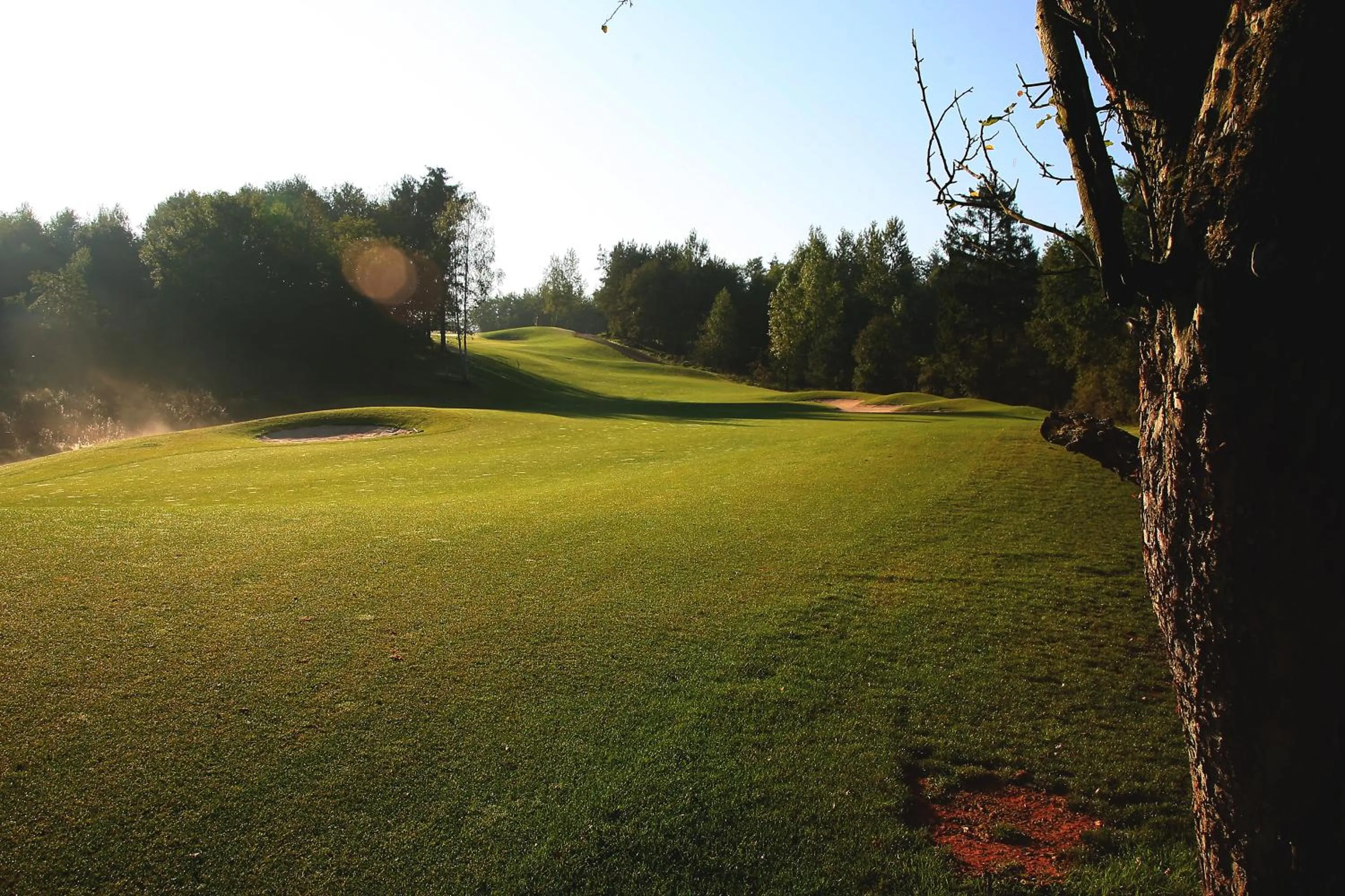 Golfcourse in Angel's - das hotel am golfpark