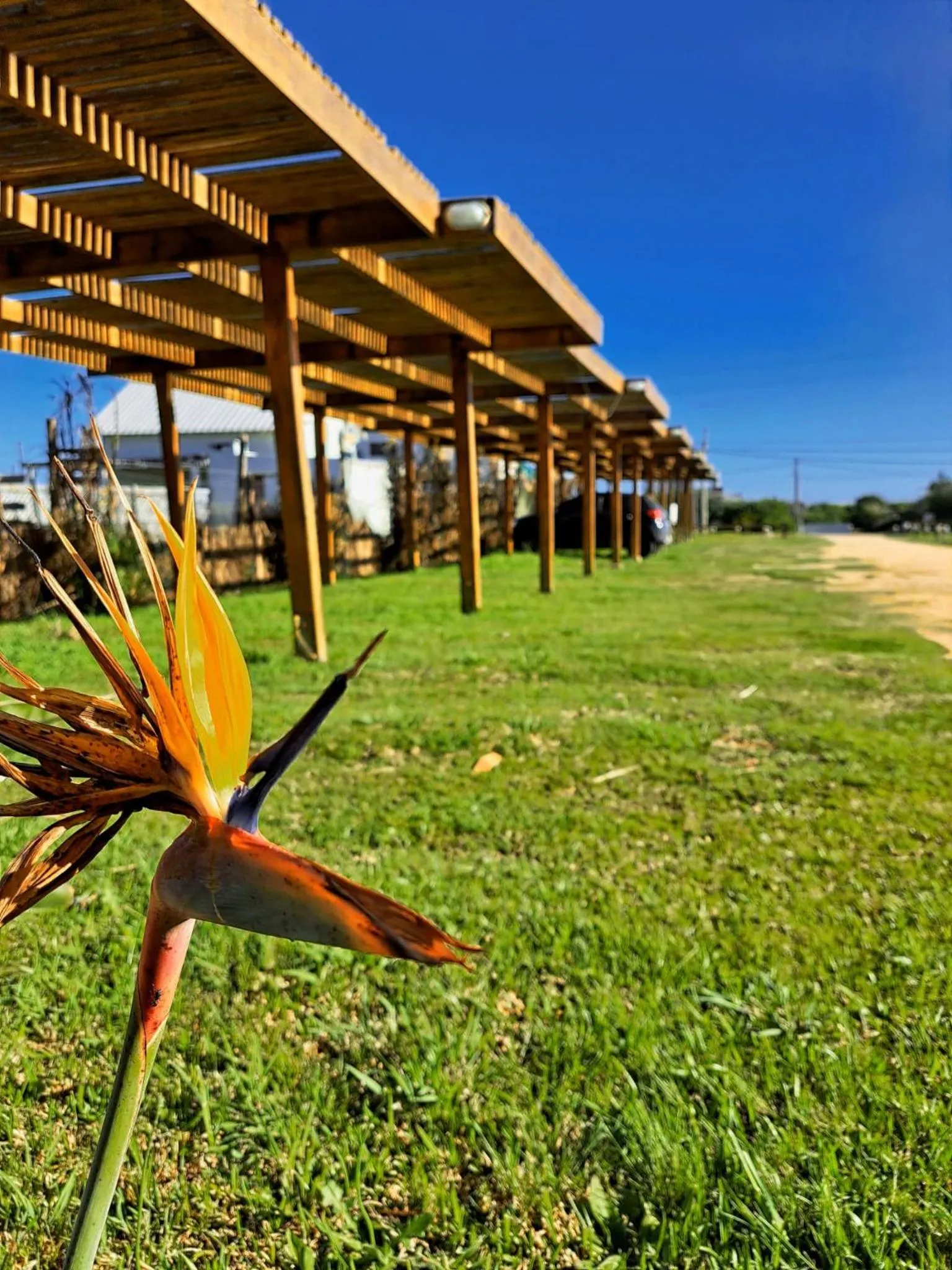 Zen Boutique Apart Hotel