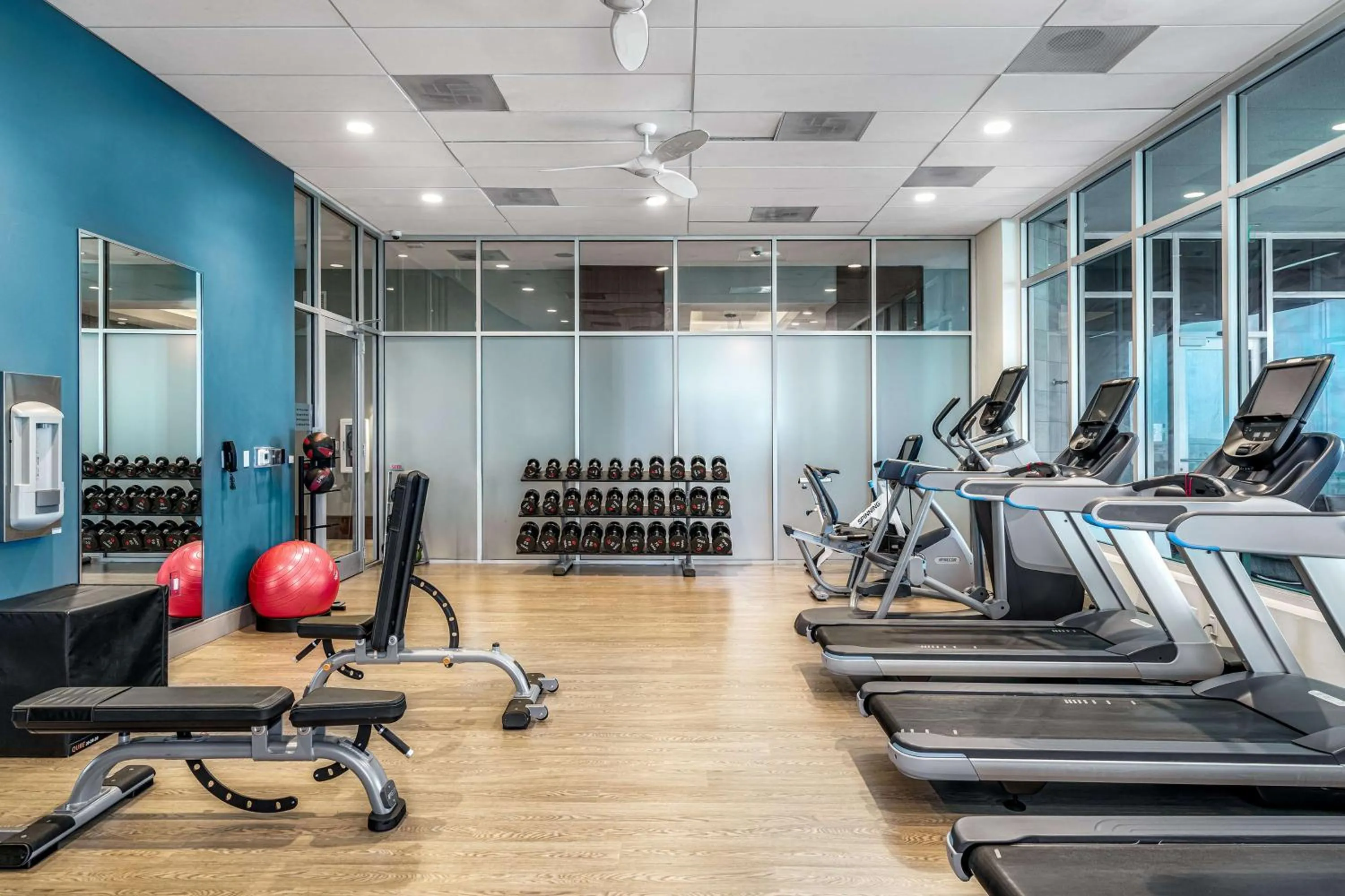 Fitness centre/facilities in Embassy Suites By Hilton Sarasota