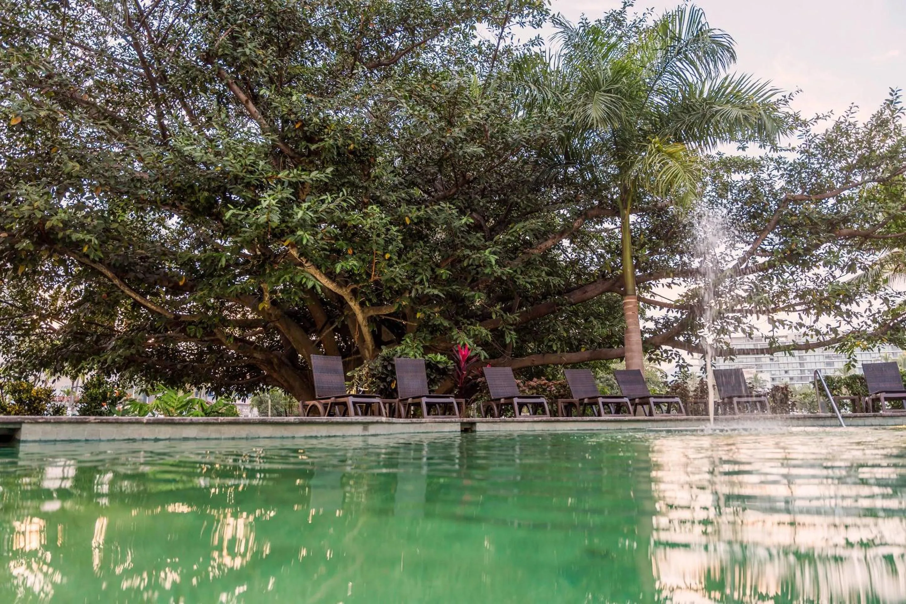 Swimming pool in Comfort Inn Puerto Vallarta Golfside & Marina