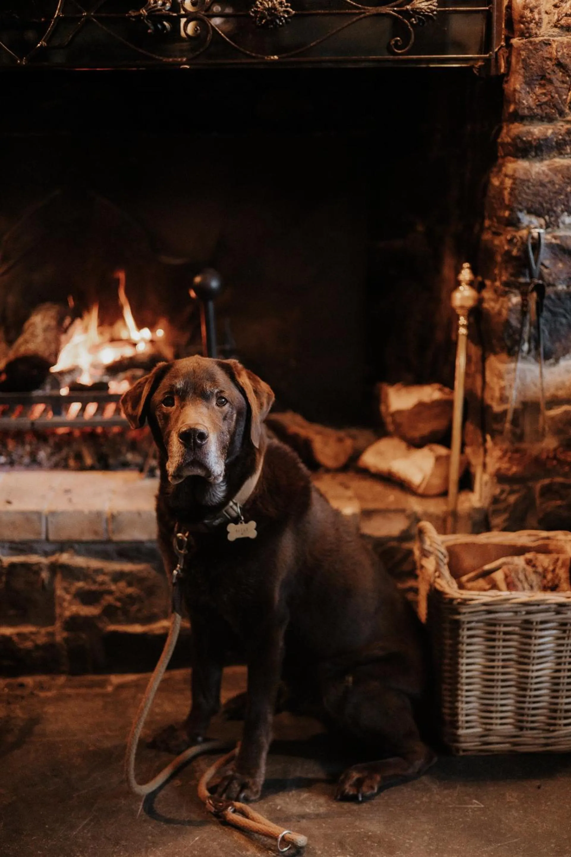 Lounge or bar in The Half Moon Inn