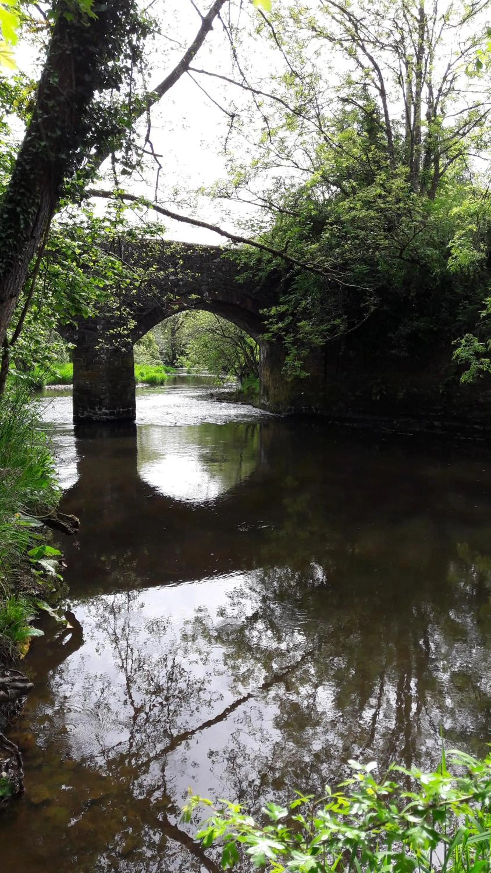 Fishing in Half Moon Inn