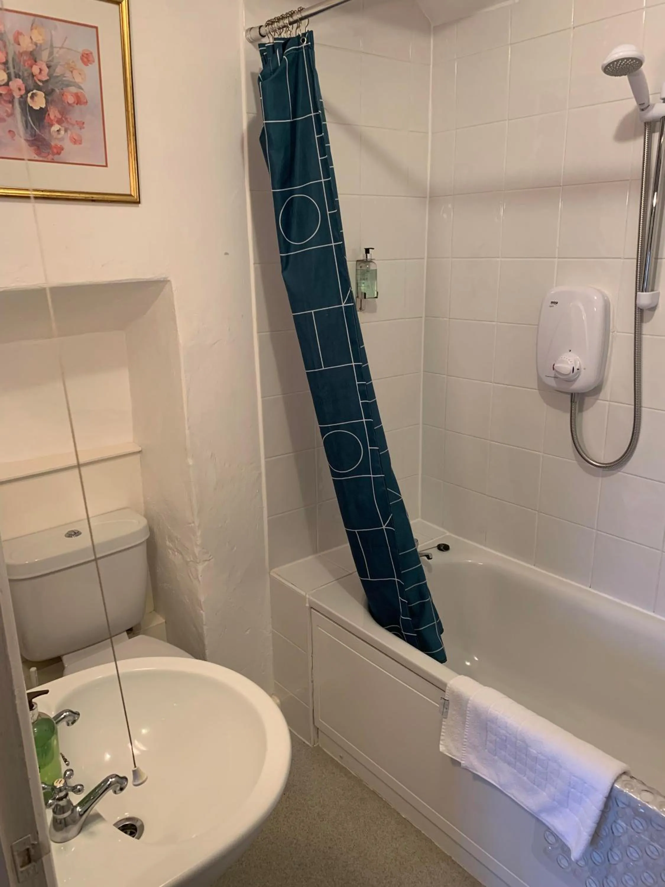 Toilet in Half Moon Inn