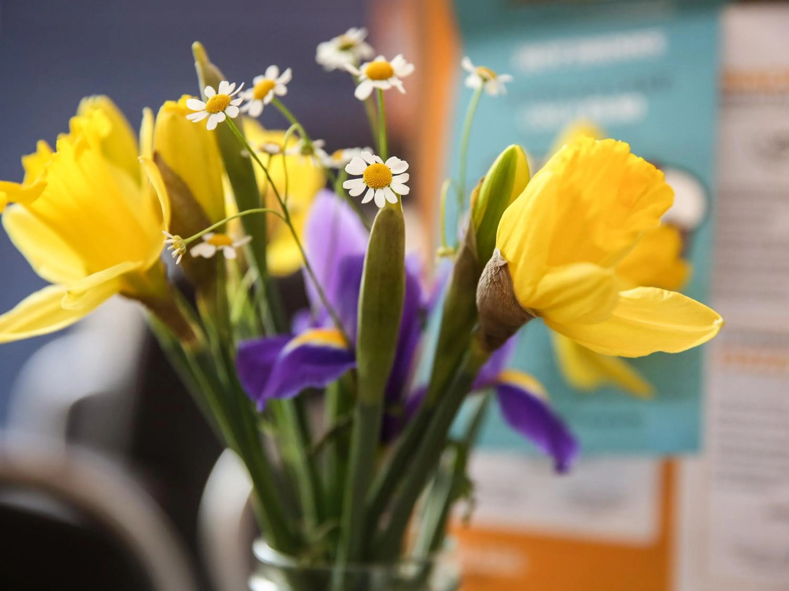 Decorative detail in YHA Keswick