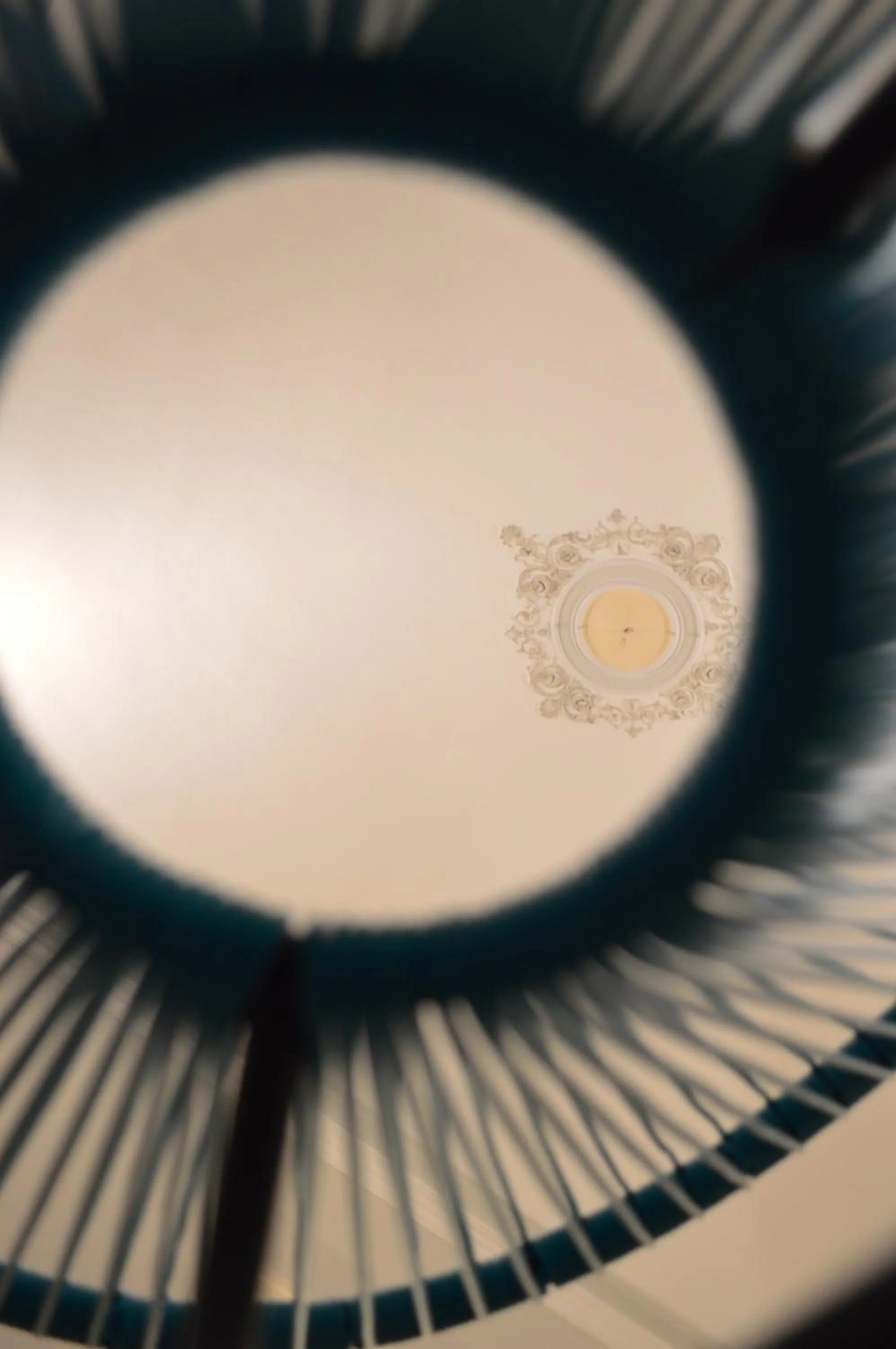 Decorative detail in Bed, Book & Breakfast Landolina