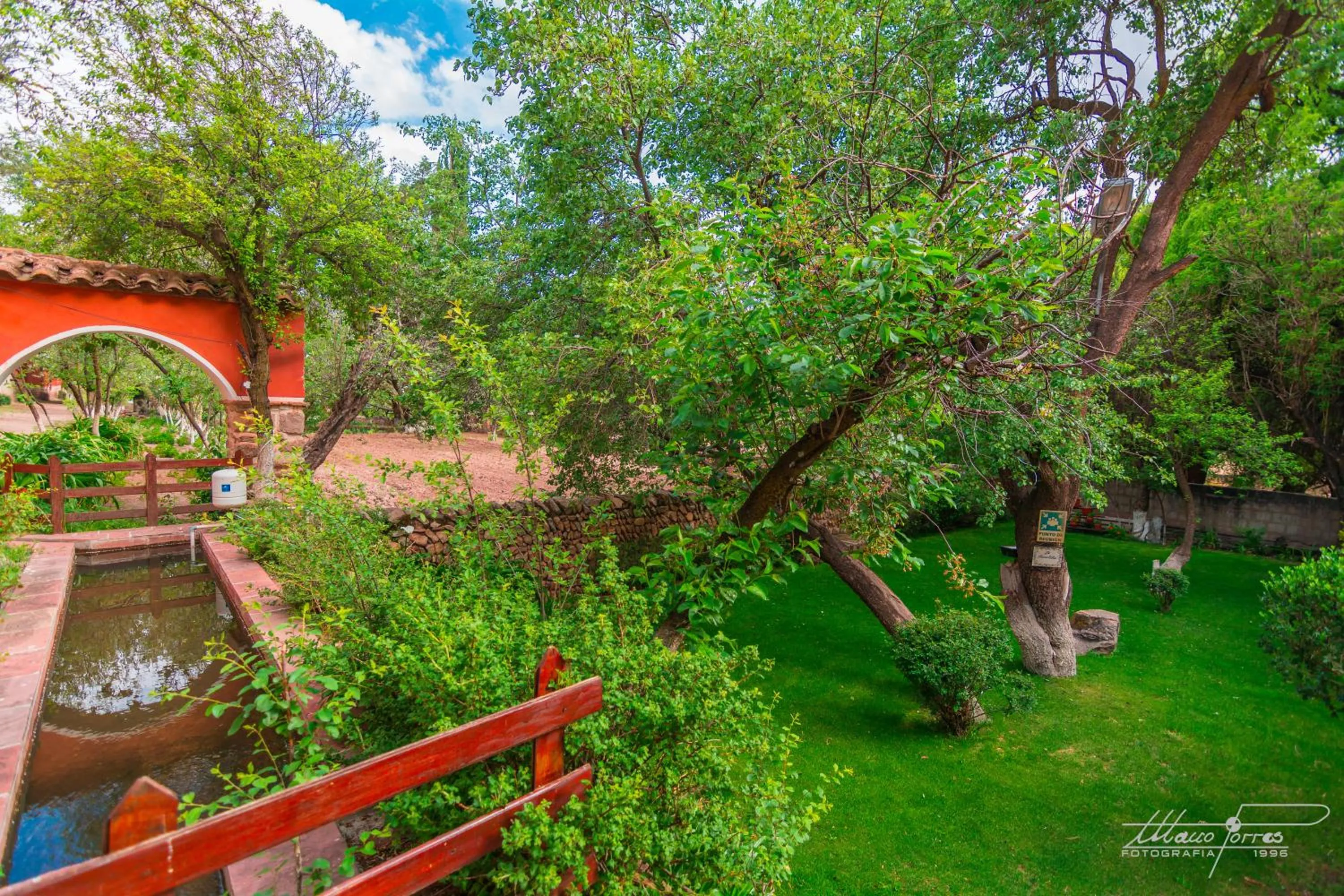 Garden in Hotel Museo Cayara