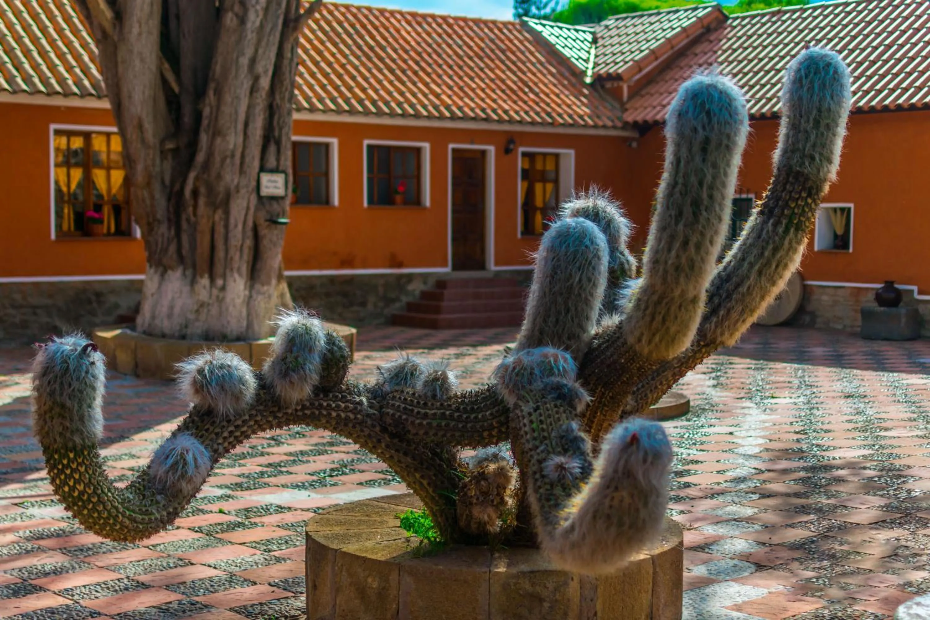 Patio in Hotel Museo Cayara