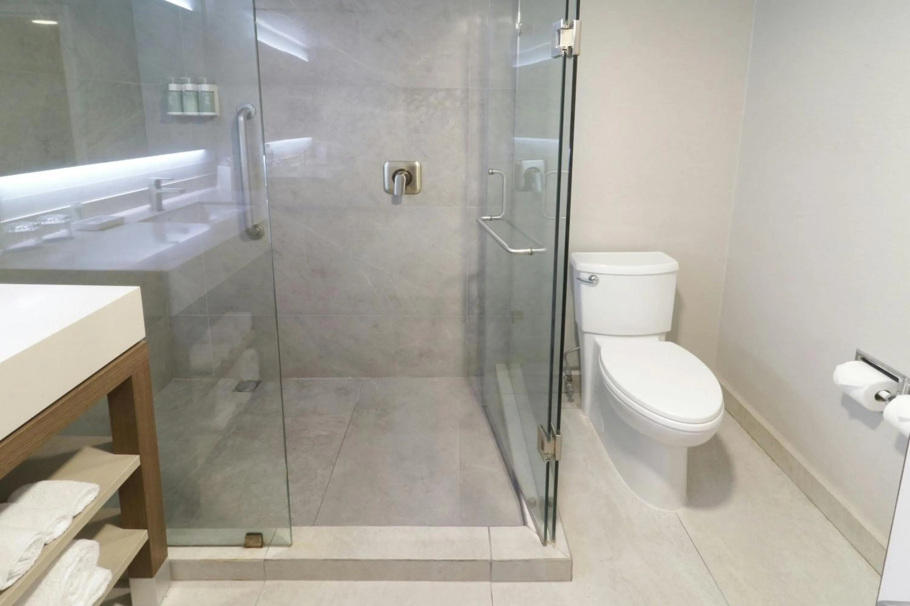 Bathroom in Courtyard Monterrey Airport