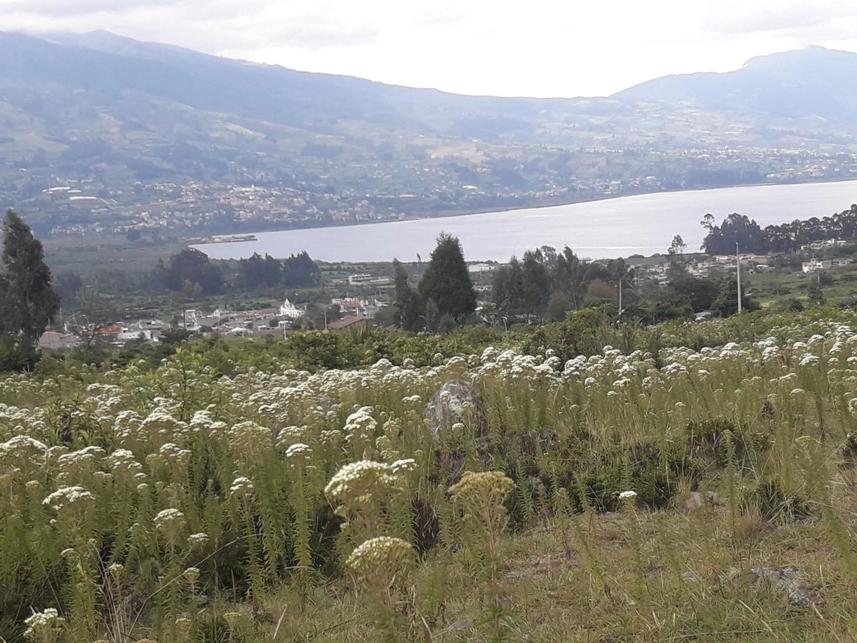 Natural landscape in Green House Araque Inn