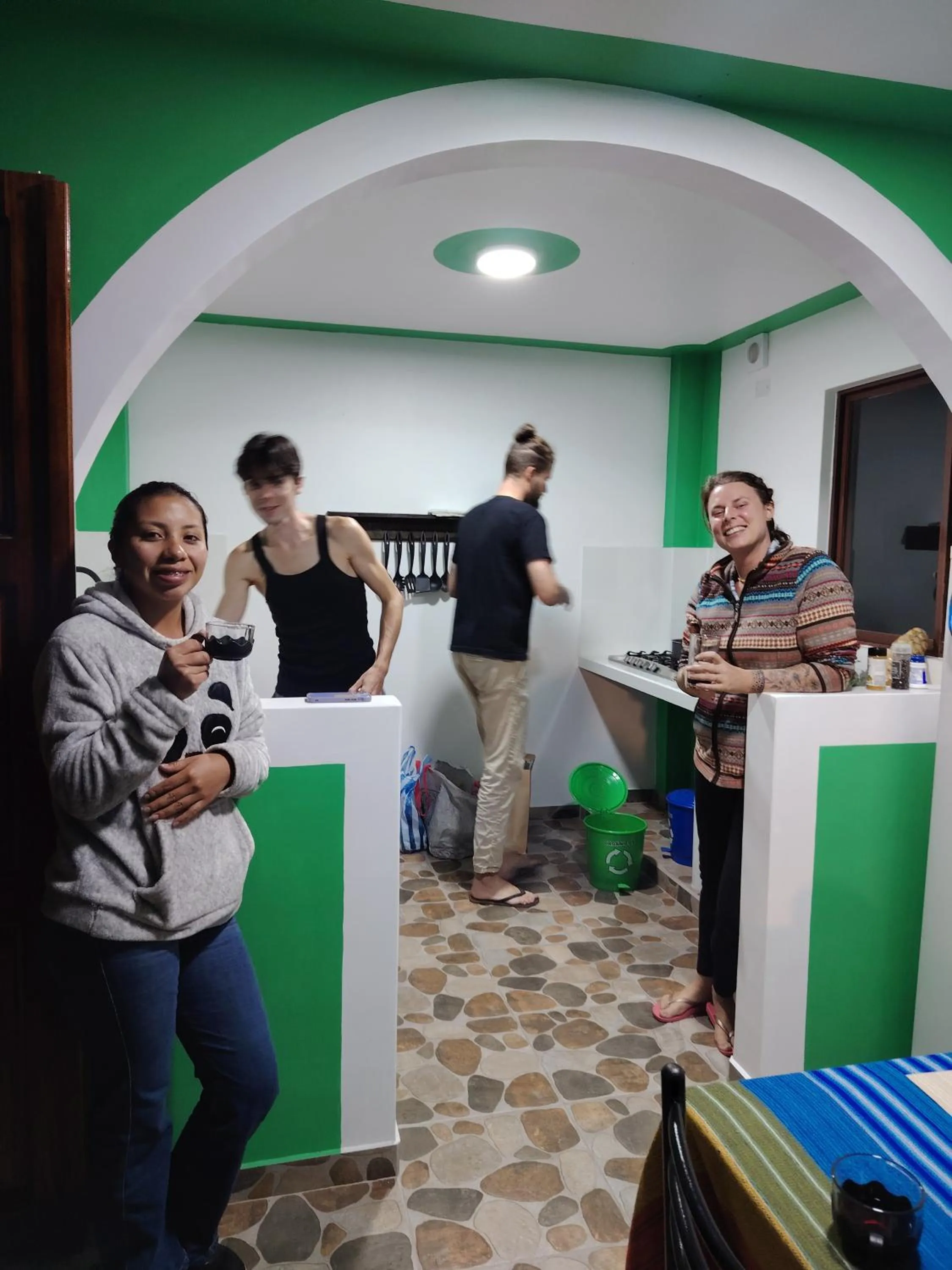 Kitchen or kitchenette in Green House Araque Inn