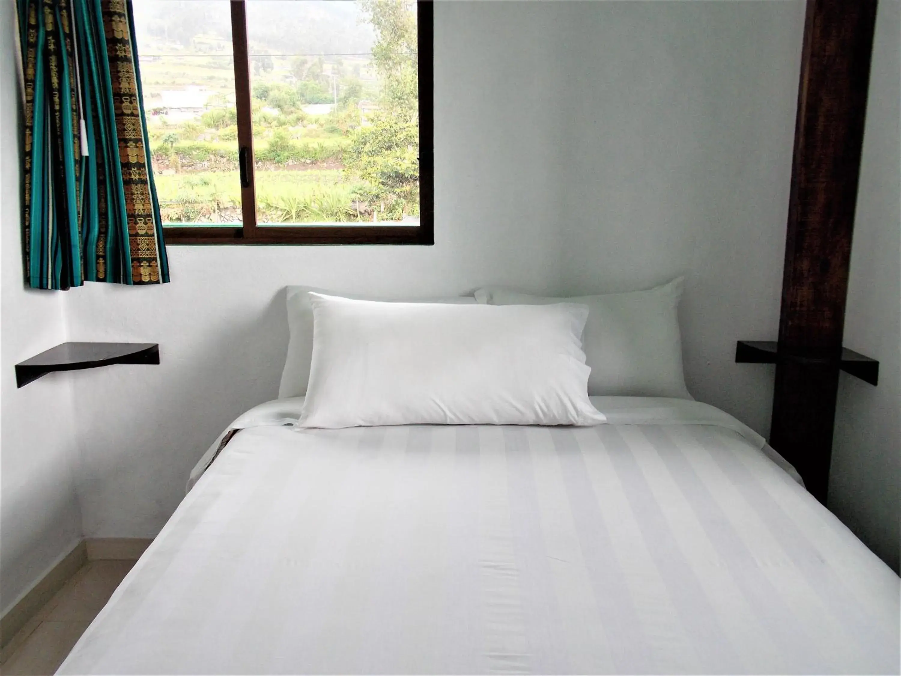 Standard Double Room - single occupancy in Green House Araque Inn Standard Double Room - single occupancy in Green House Araque Inn