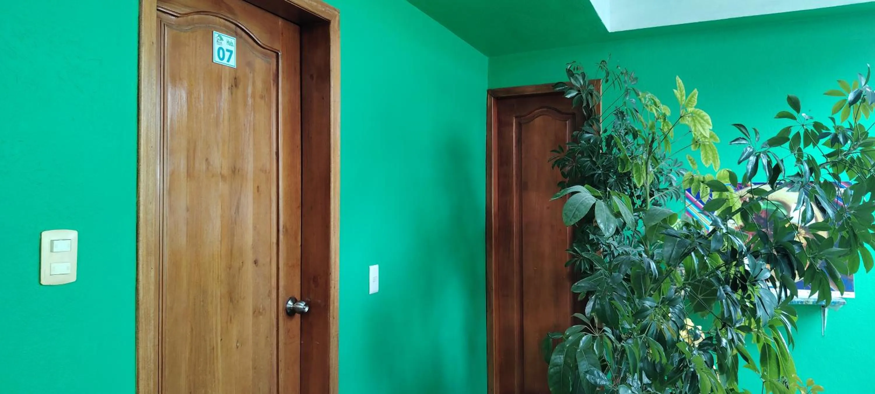 Bathroom in Green House Araque Inn