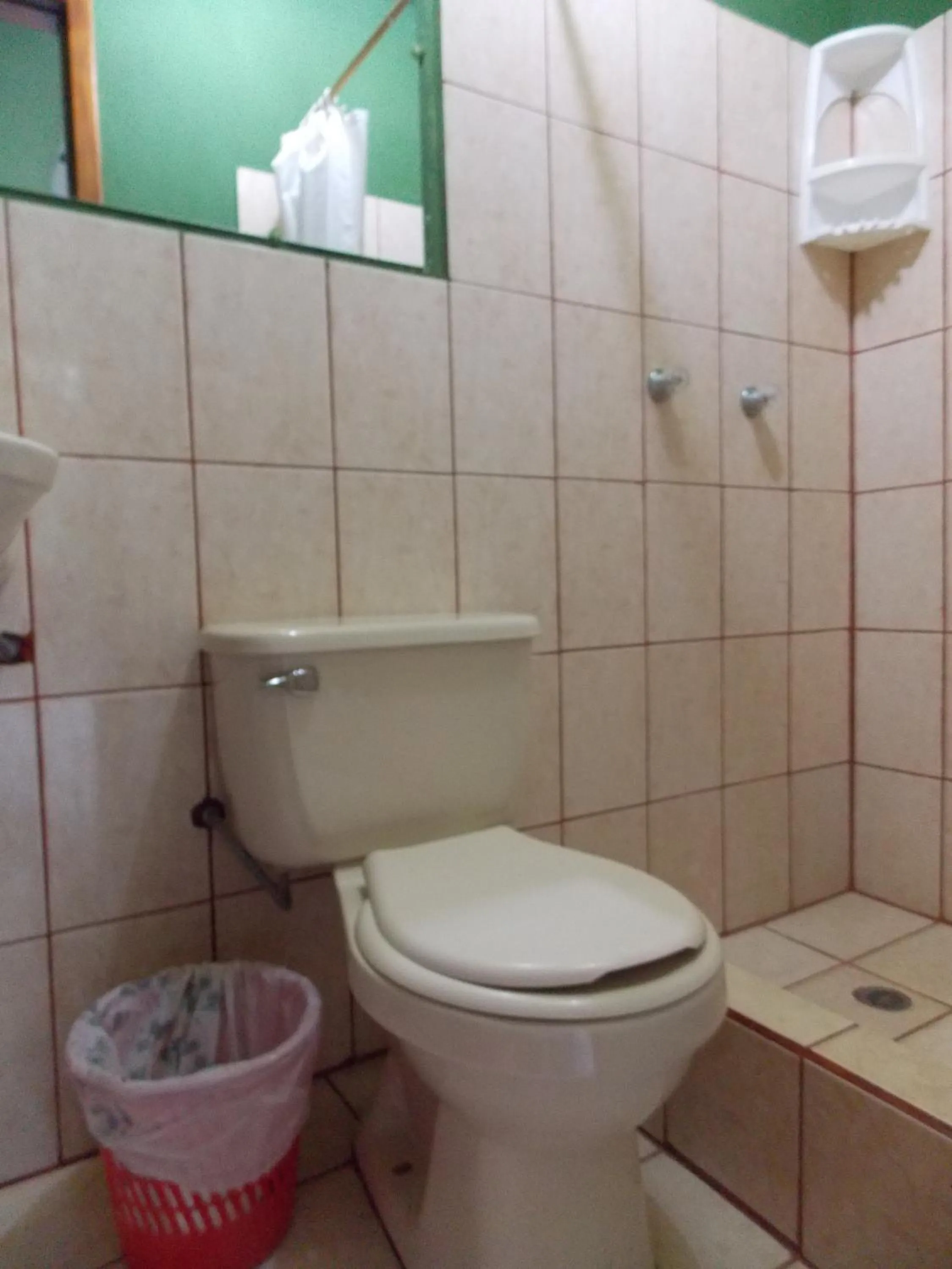 Bathroom in Green House Araque Inn