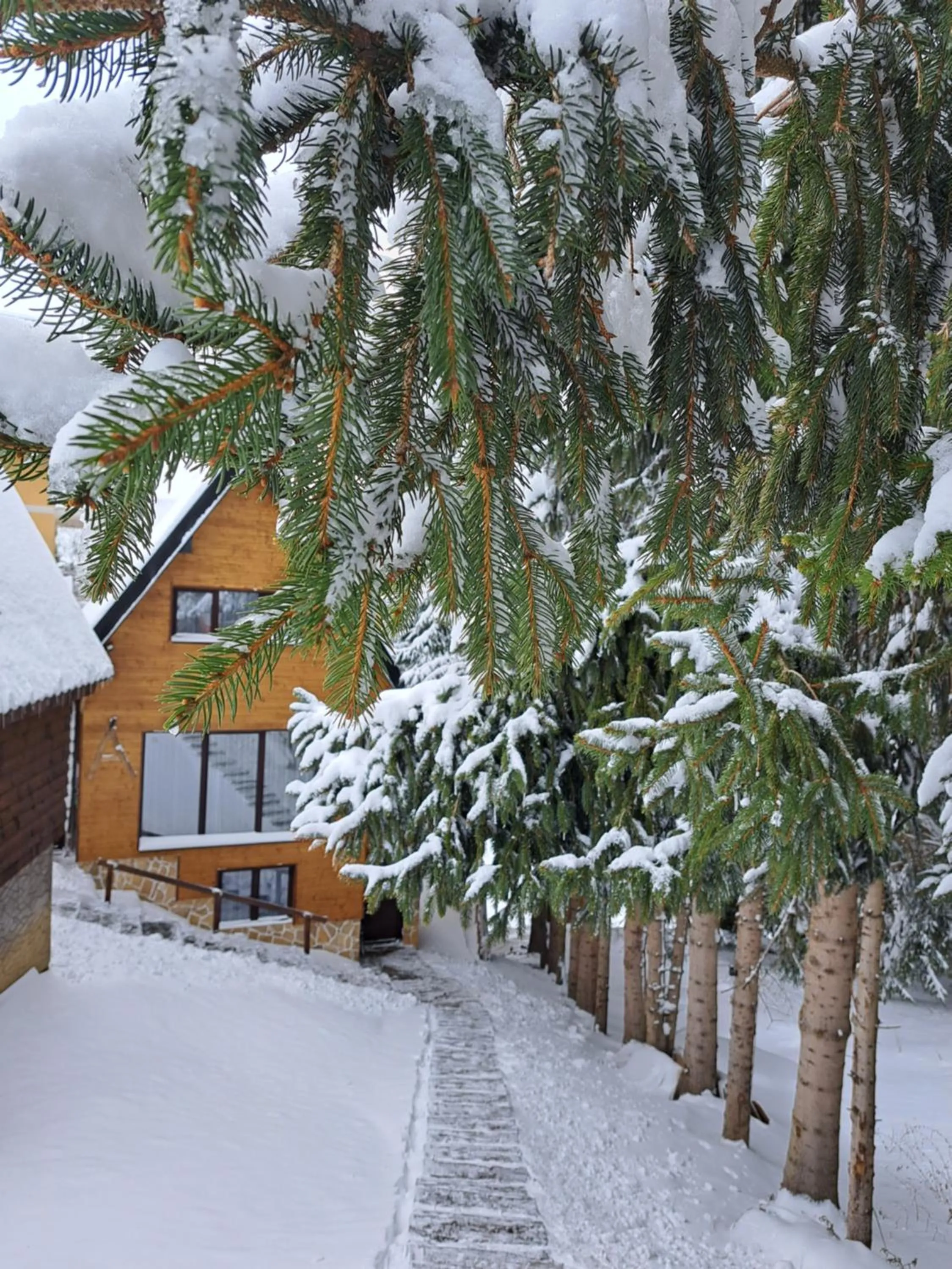 Day in Villa Zagorka and mountain houses A, M, D