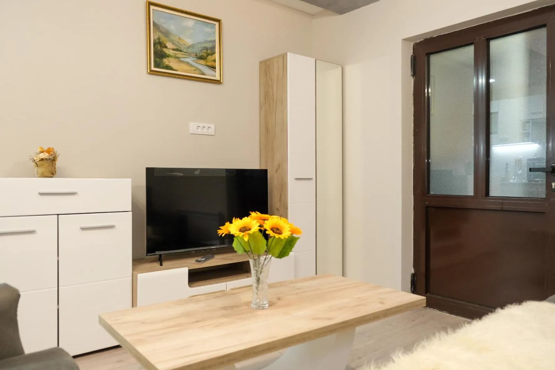 TV and multimedia in Villa Zagorka and mountain houses A, M, D