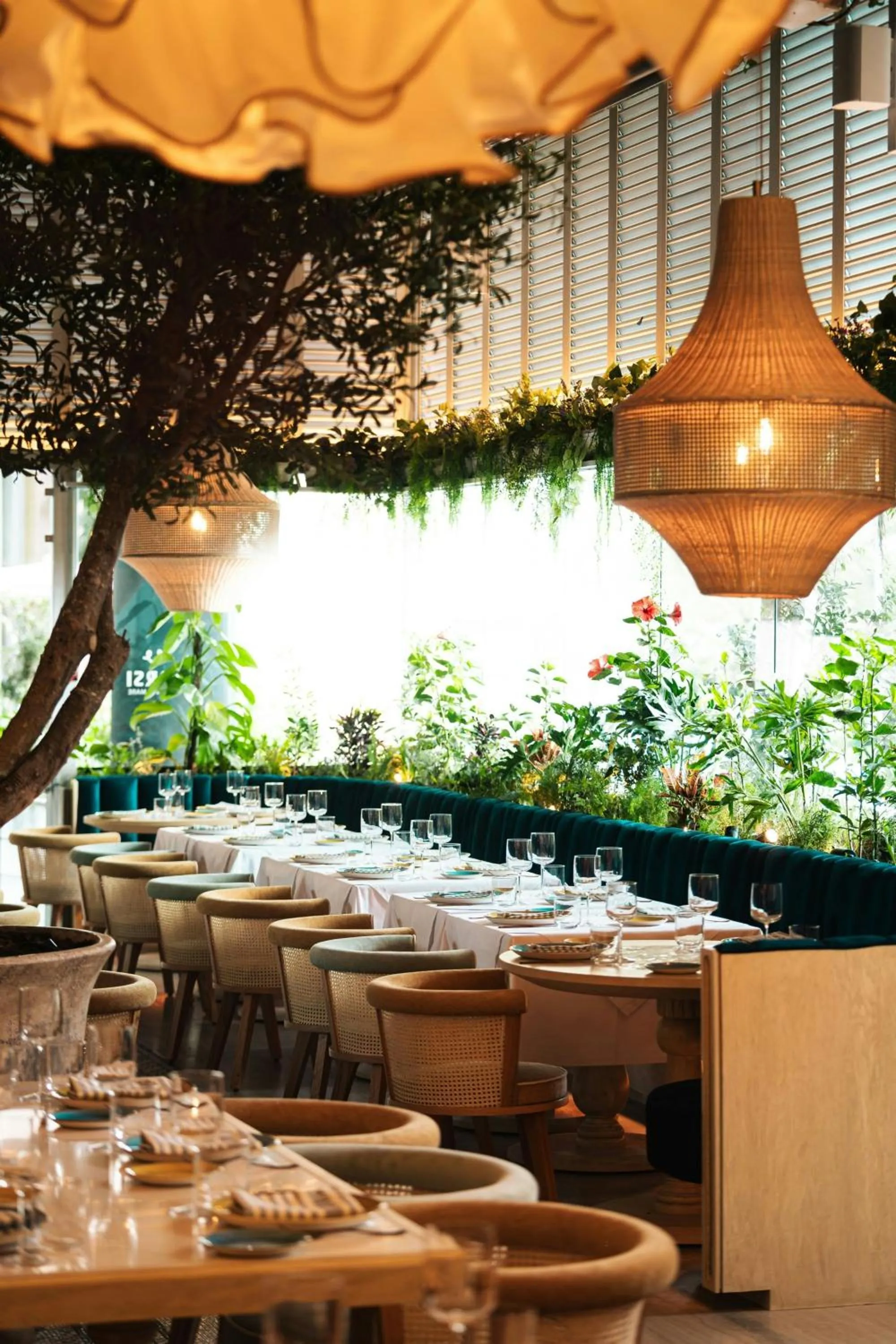 Restaurant/places to eat in JW Marriott Hotel Mexico City Polanco