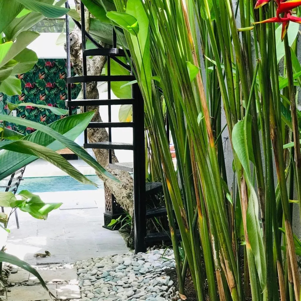 Villa Madu Canggu