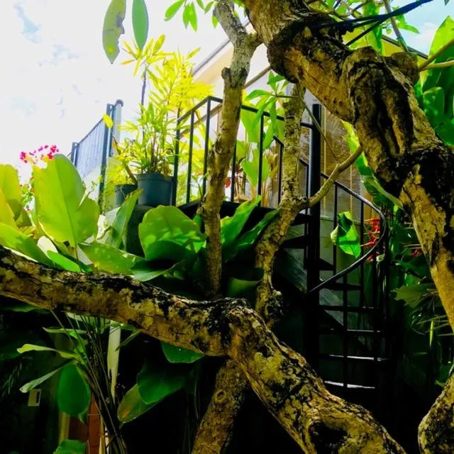 Villa Madu Canggu