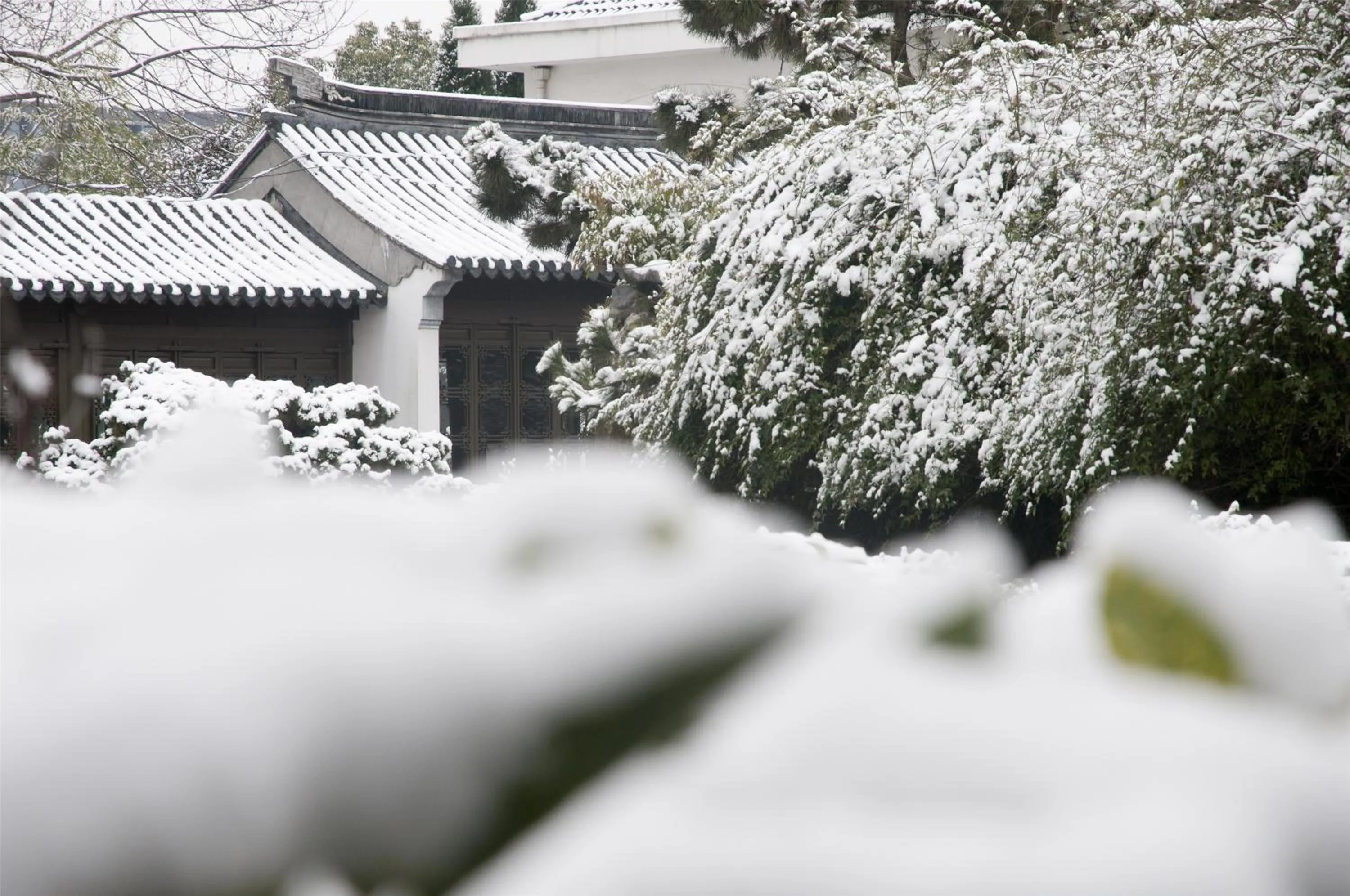 Winter in Jinling Resort Nanjing