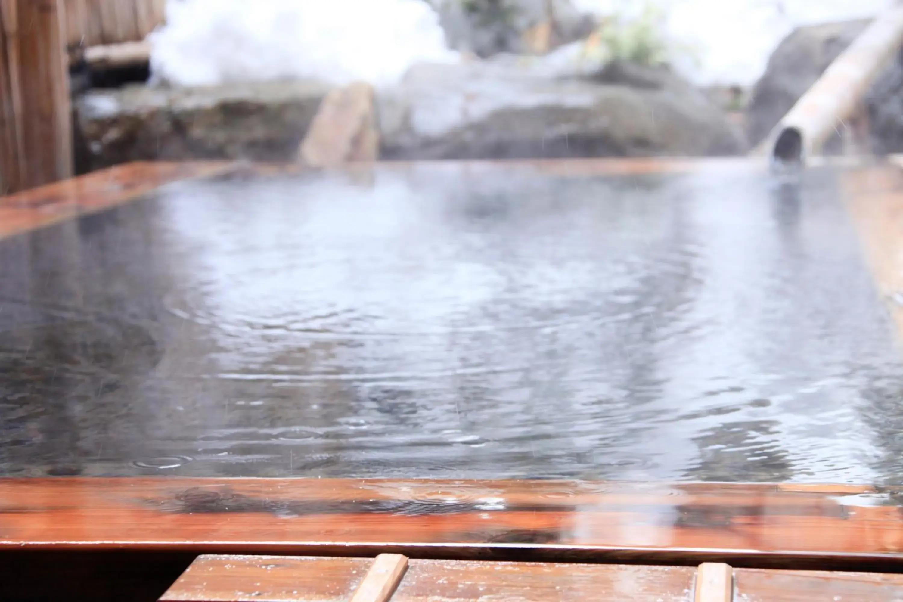 Hot Spring Bath in Wafu no Yado Masuya                                                                             