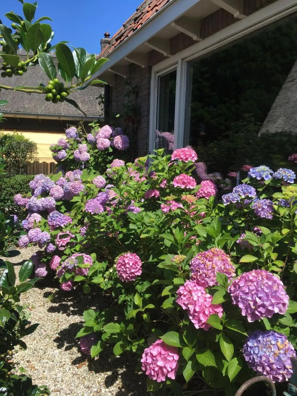 Facade/entrance in The Livingrooms Laren