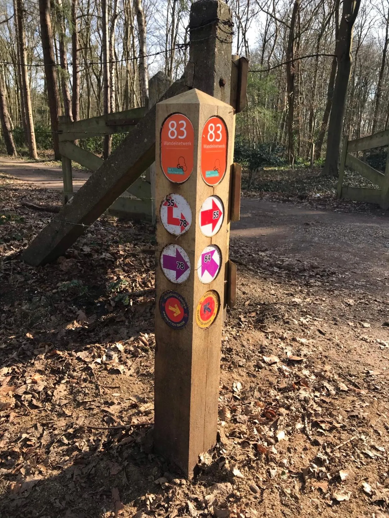 Sports in The Livingrooms Laren