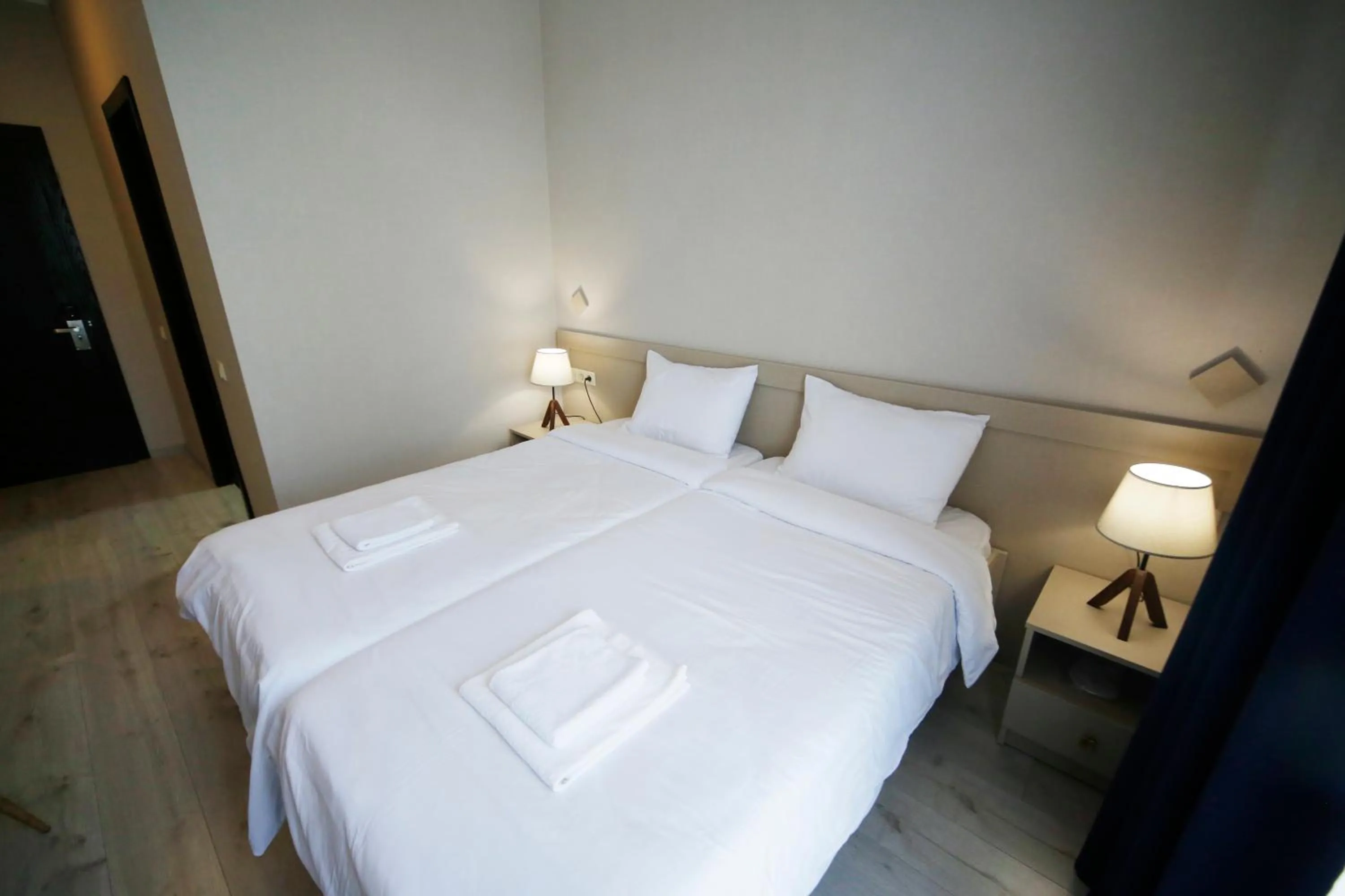 Double or Twin Room - single occupancy in Hotel Sani Kutaisi