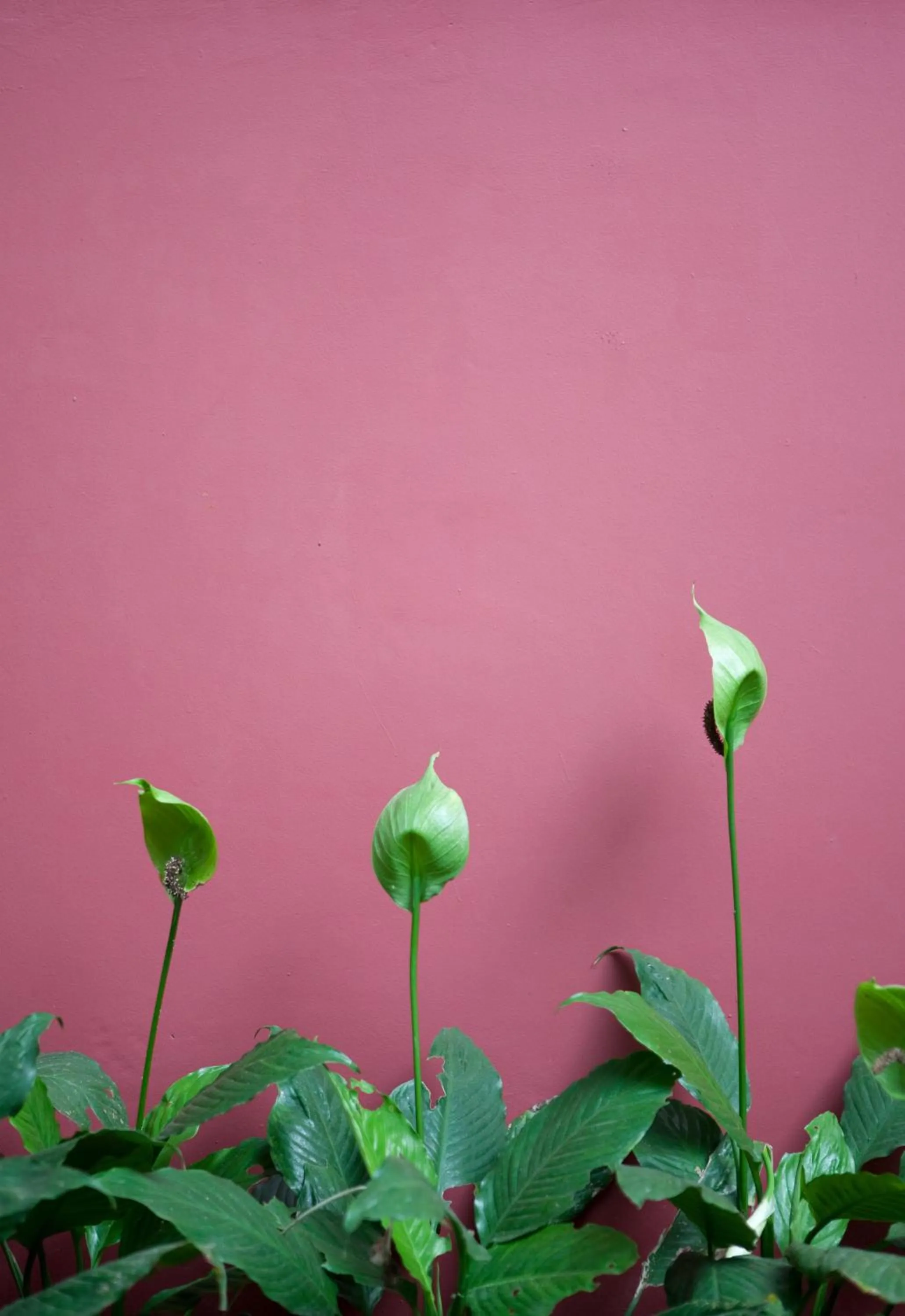 Other in Amaris Hotel Cimanuk Bandung