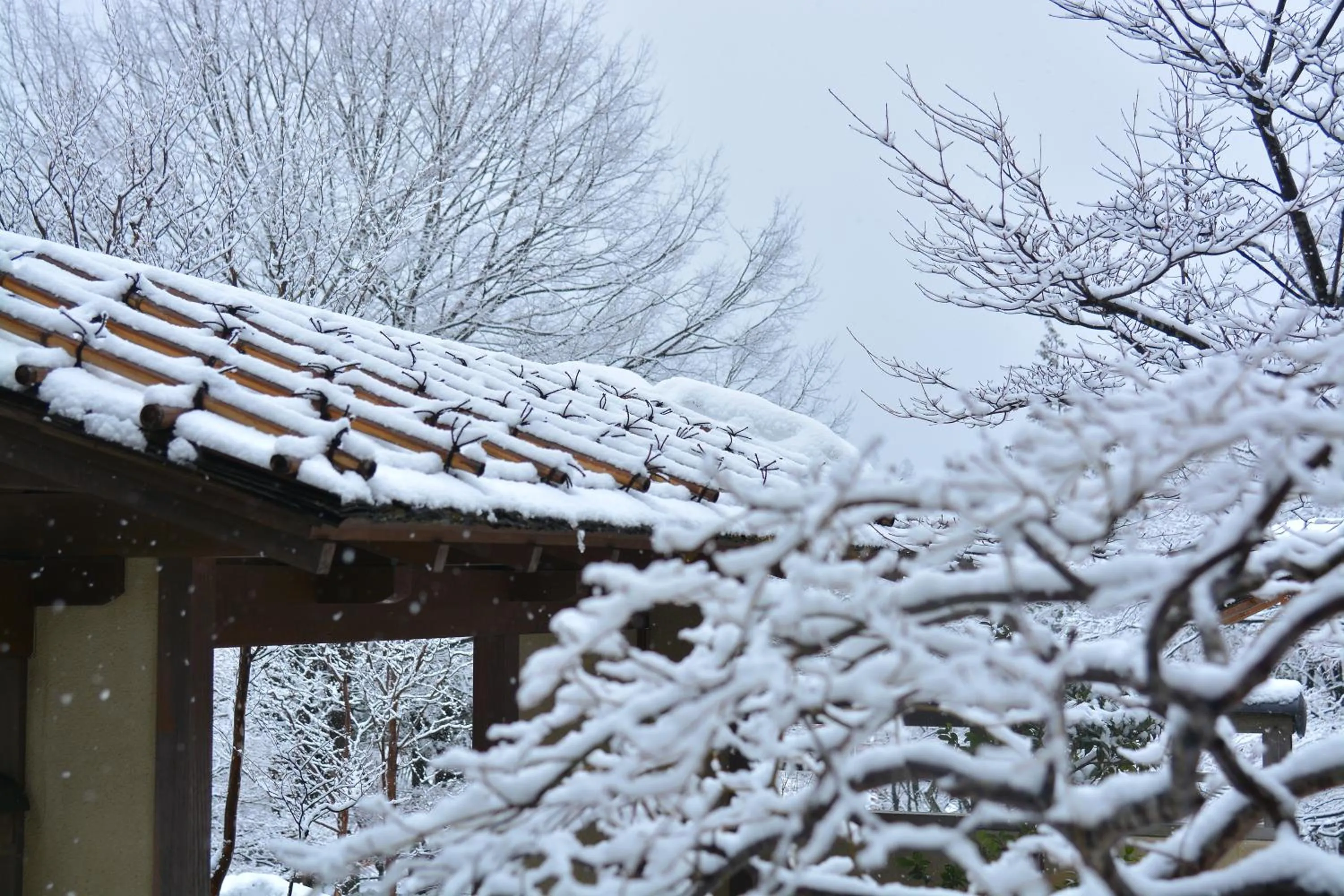 Winter in Nikko Hoshino Yado